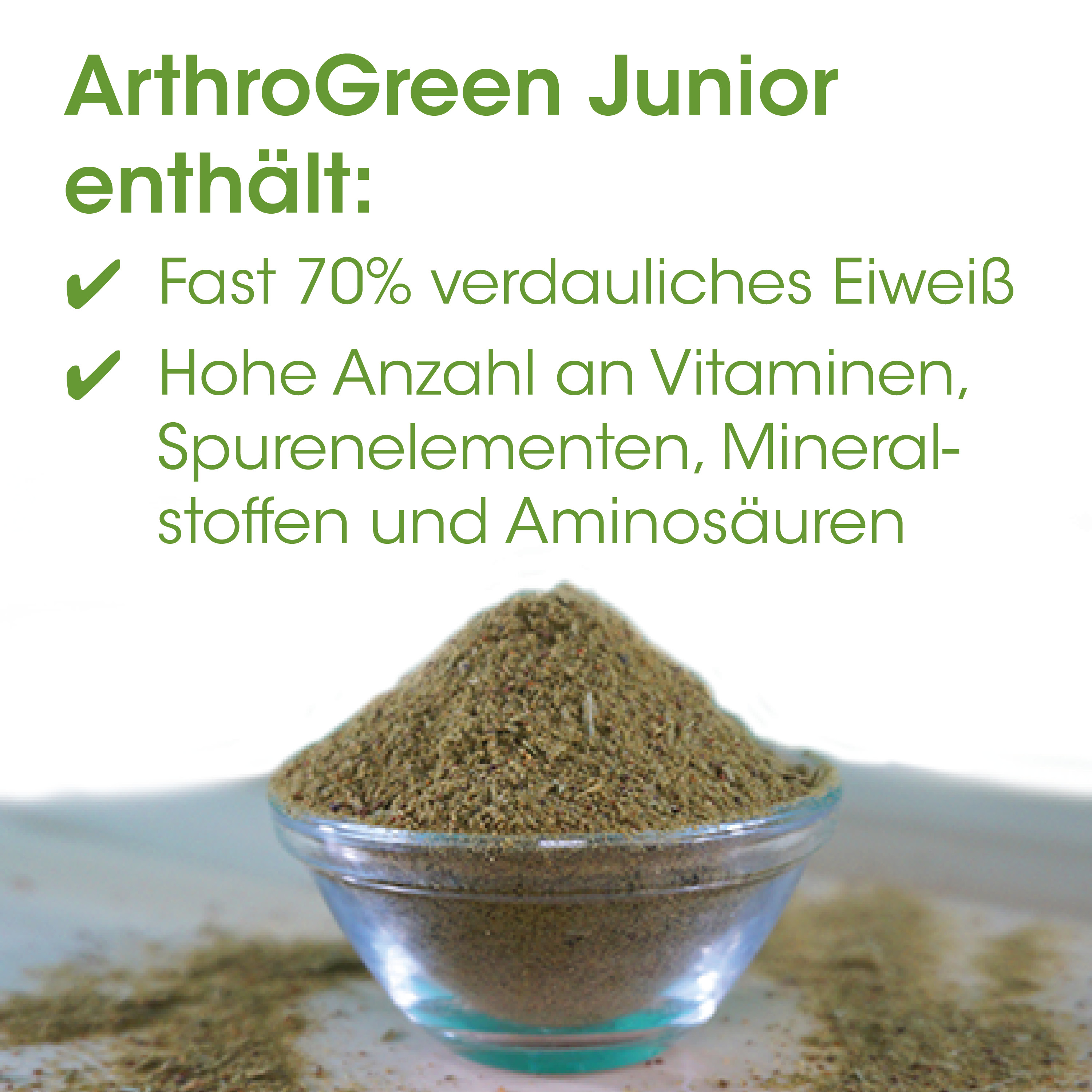 Protein, Proteinsupplement, Grünpulver, Schale, Pulver