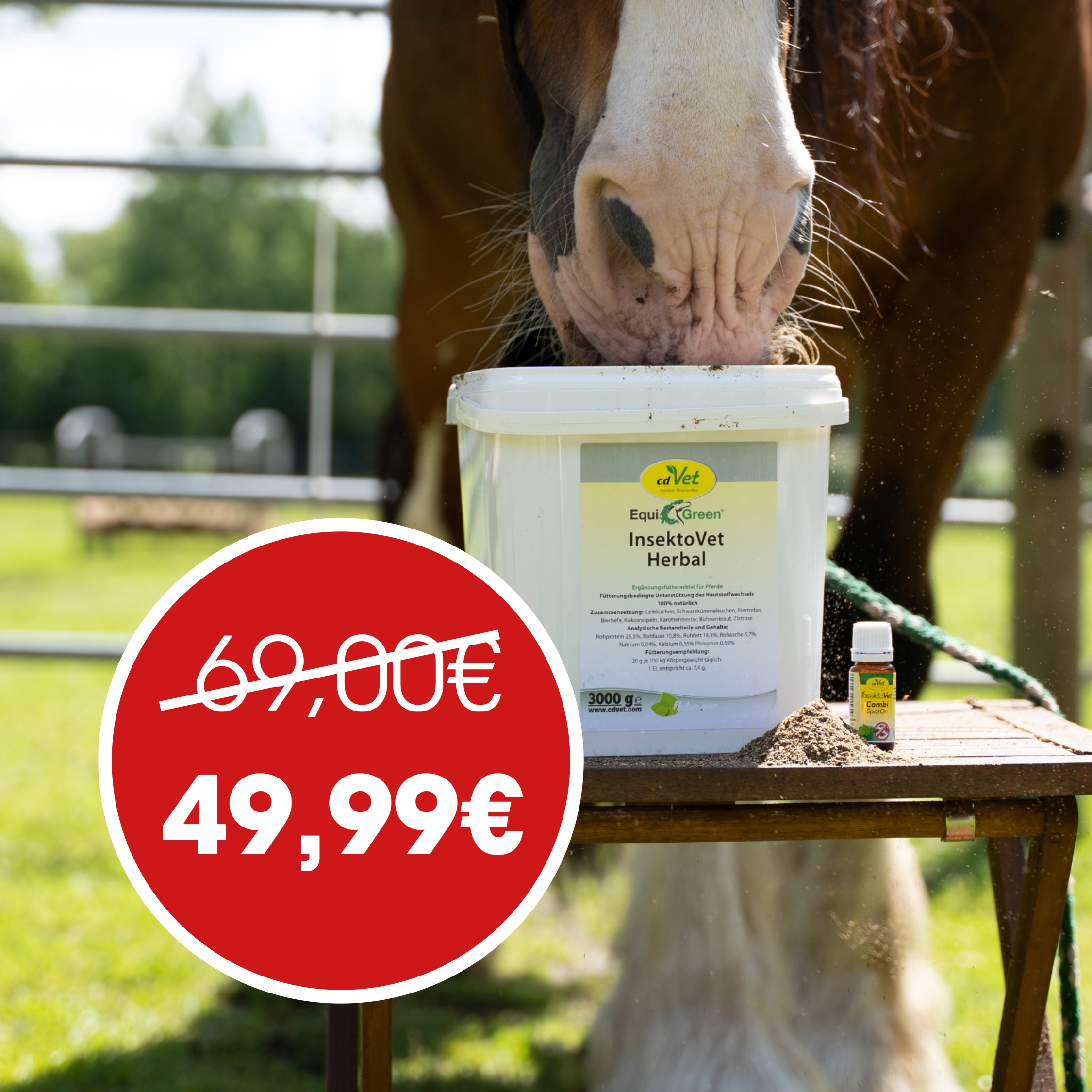 horse, Insektizid, heilpflanze?, Eimer, Beschriftung