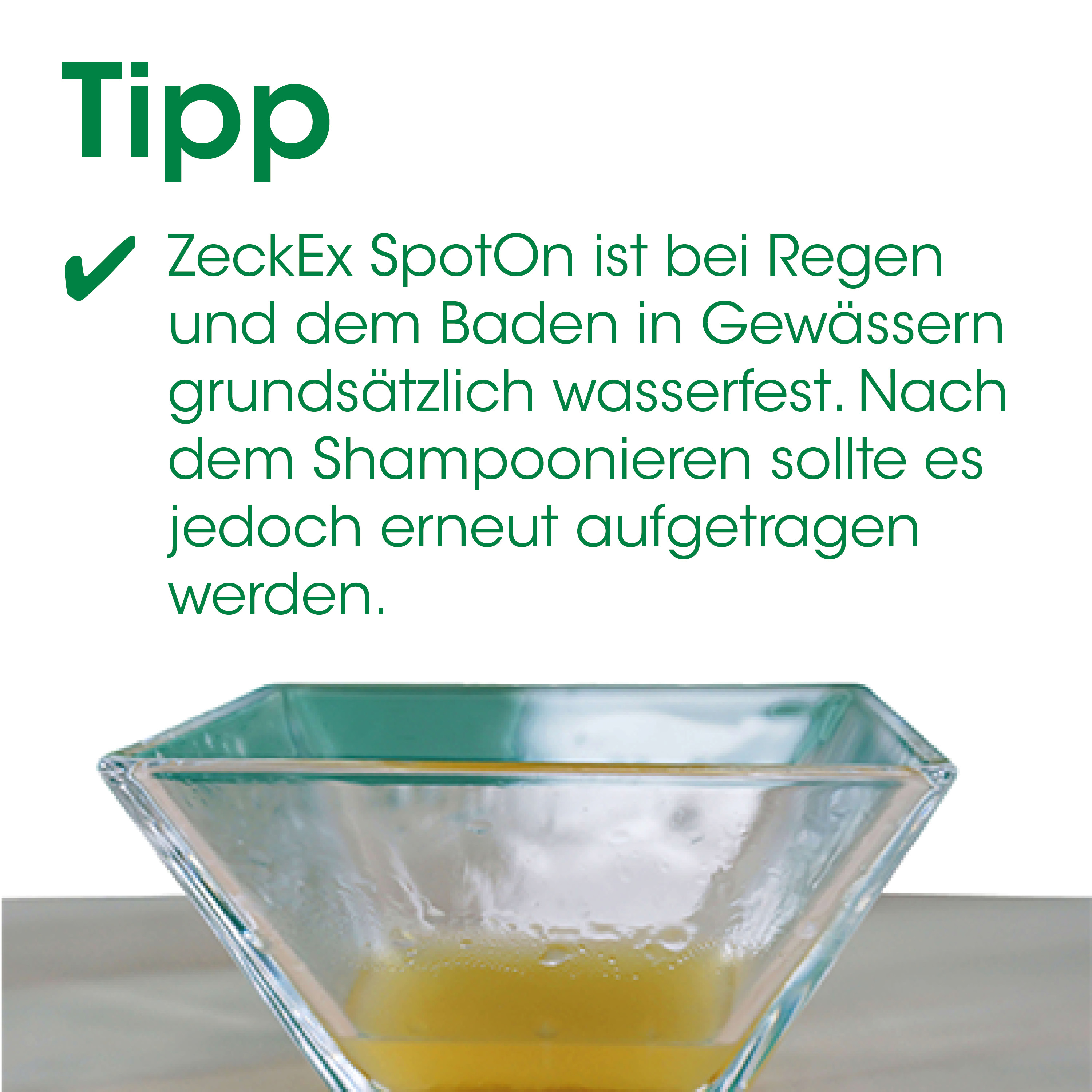 glas, Glasschüssel, gelbe Flüssigkeit, grüner Rand, dreiecksformiger Behälter