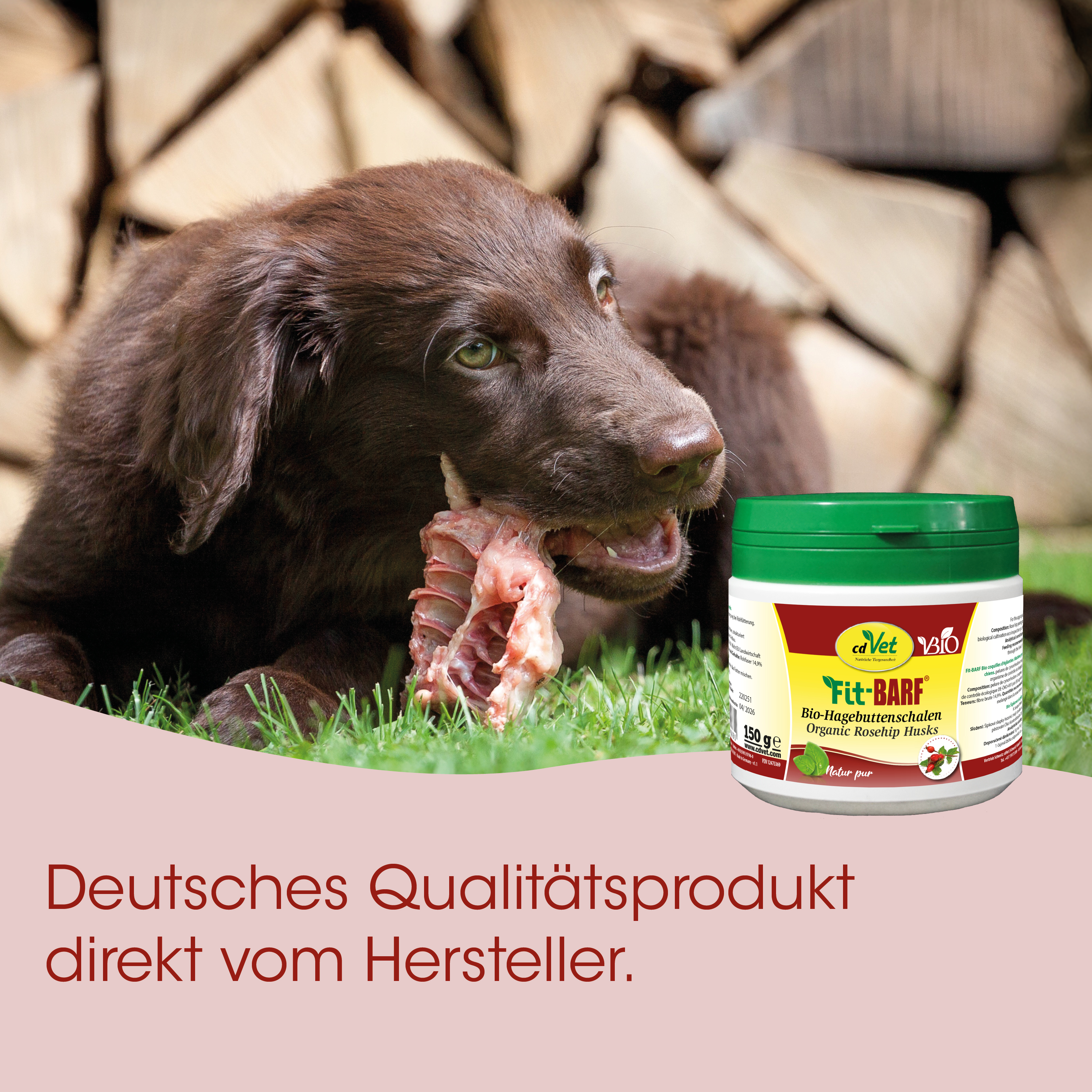Hund, Hundefutter, Kauspielzeug, Rindfleisch, Bio