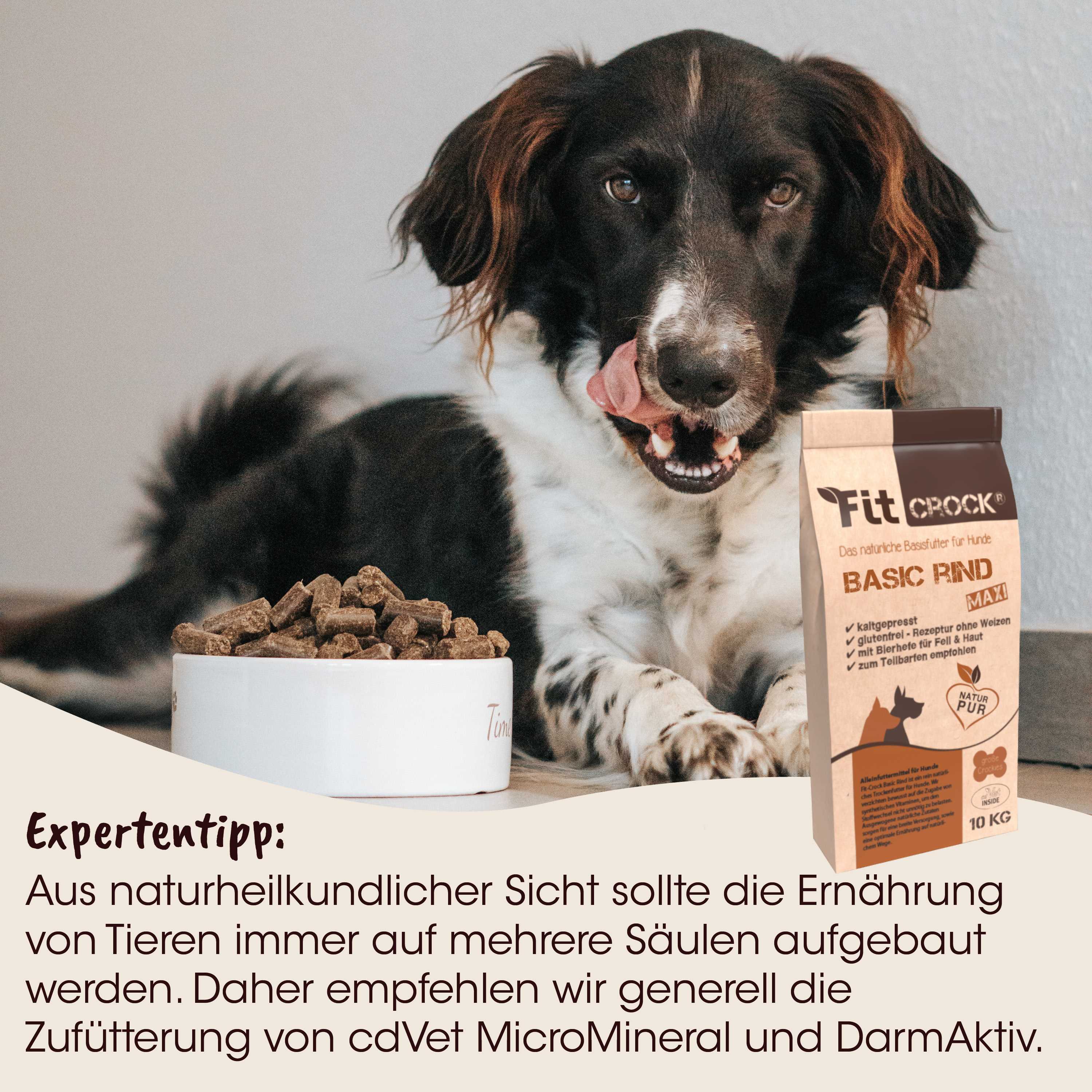 Hund, Knochenfutter, Hundefutter, braun-weißes Hundebild, Futterbeutel
