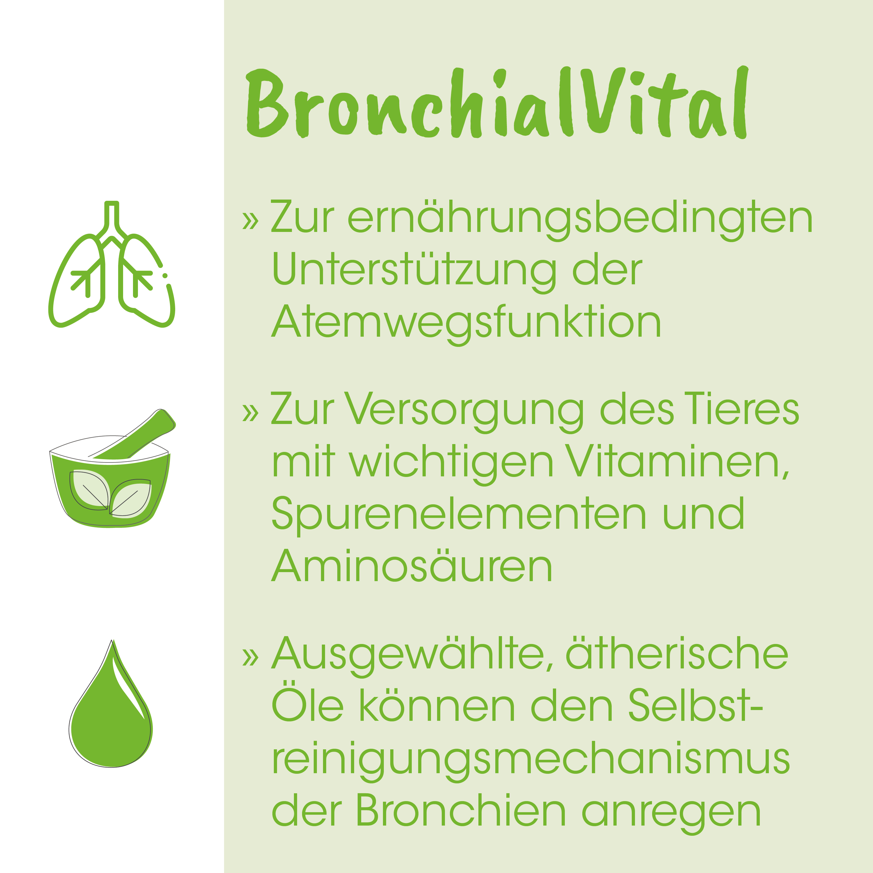 Bronchial, Vital, Lungen, Kräuter, Öl