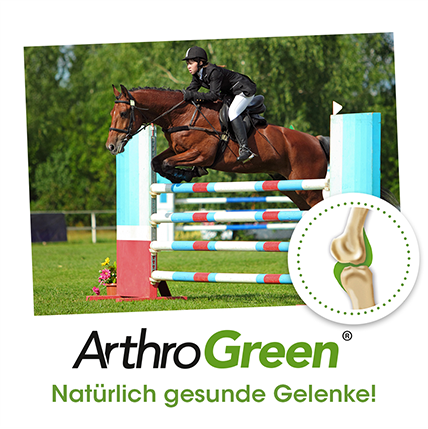 Pferde Sprünge, Reitsport, Springen, Reiter, Kniegelenkstütze