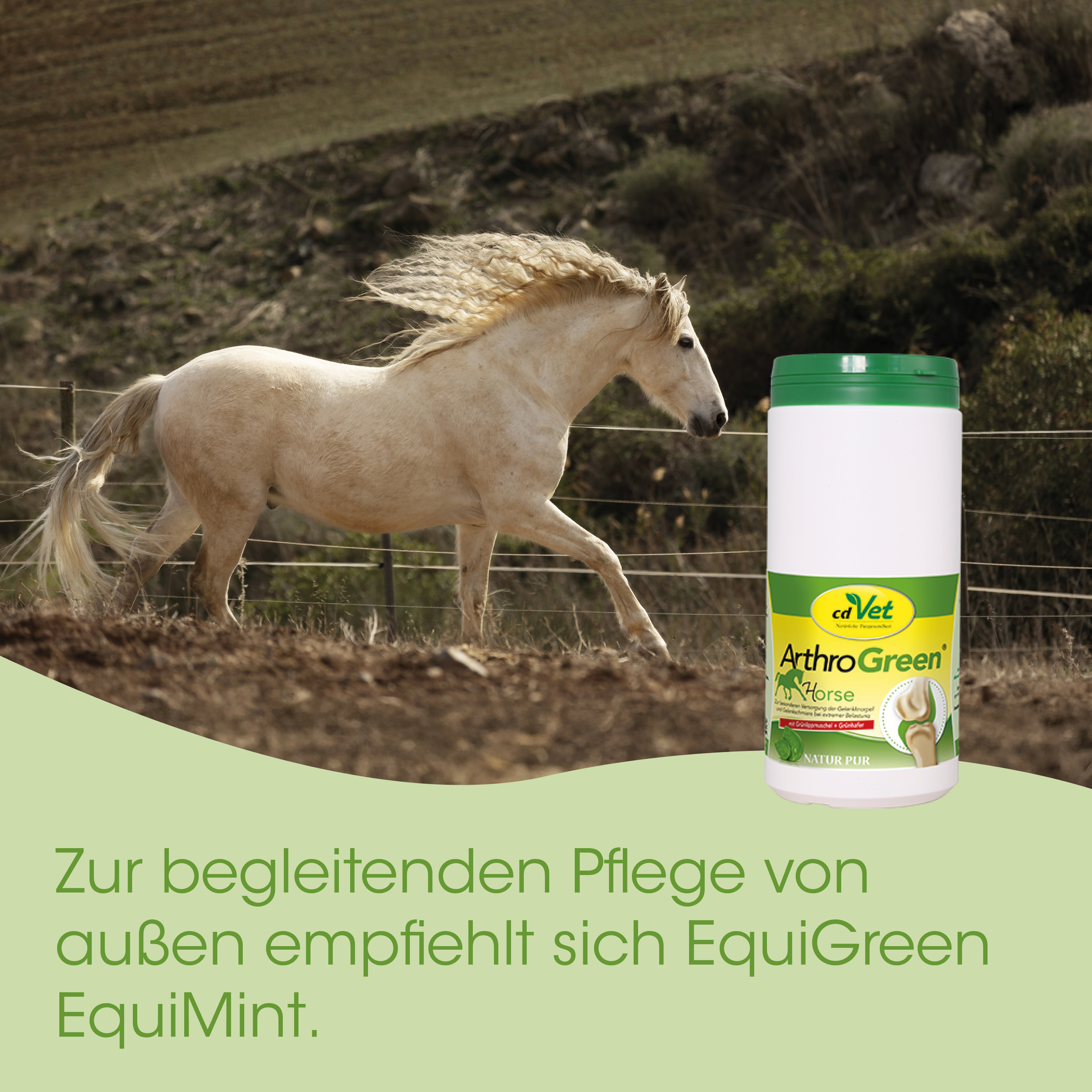 pferd, ergänzungsmittel, ArthroGreen, equines, grüne verpackung
