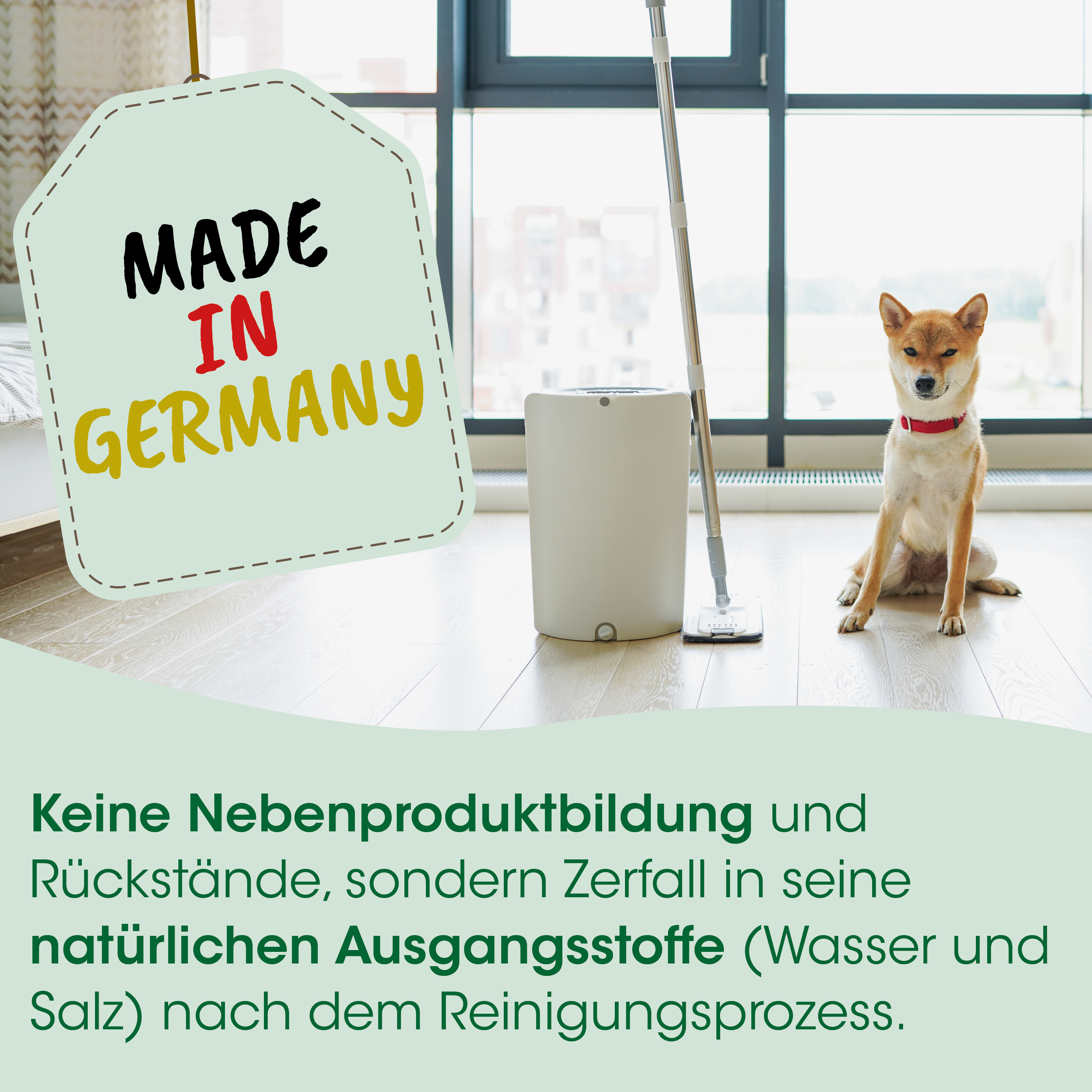 Hund, roter Halsband, aufrecht, innenraum, Mopp