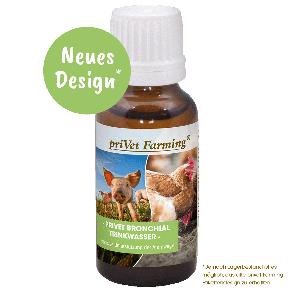 privet Bronchial Trinkwasser 20 ml