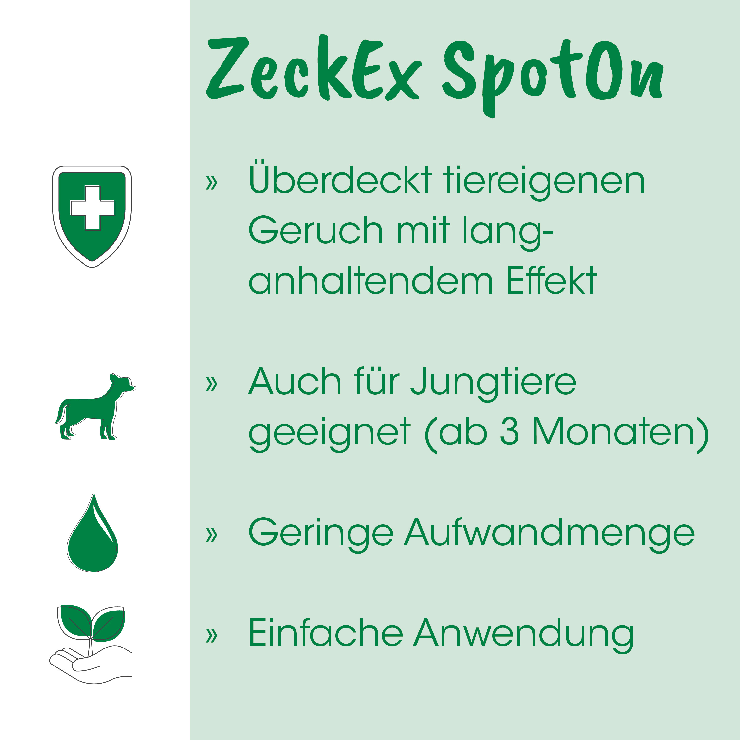 Hund, Grün, Blatt, Wassertropfen, Schild