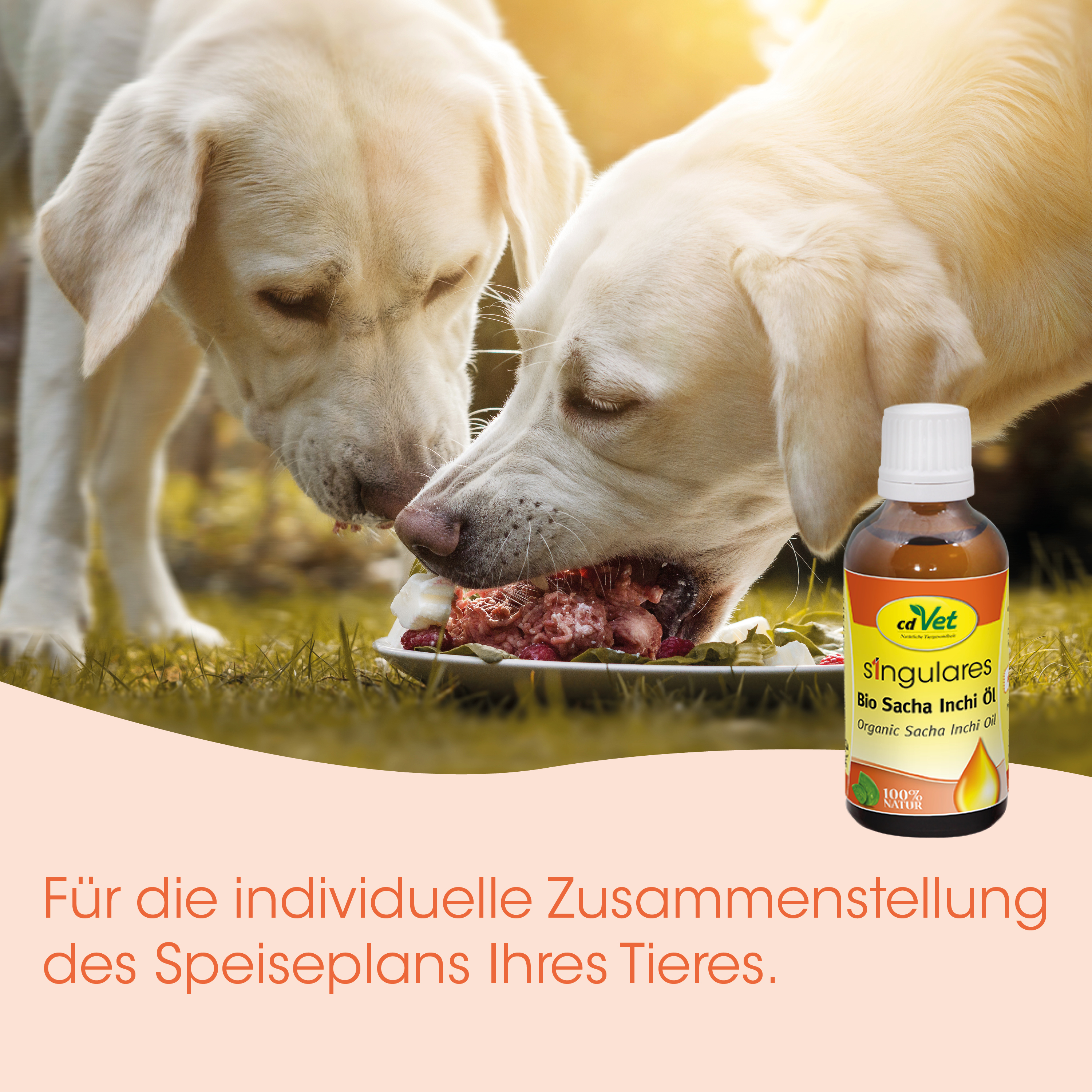 Hundefutter, Hundebrei, Kauen, Biolabe, Sacheln Öl