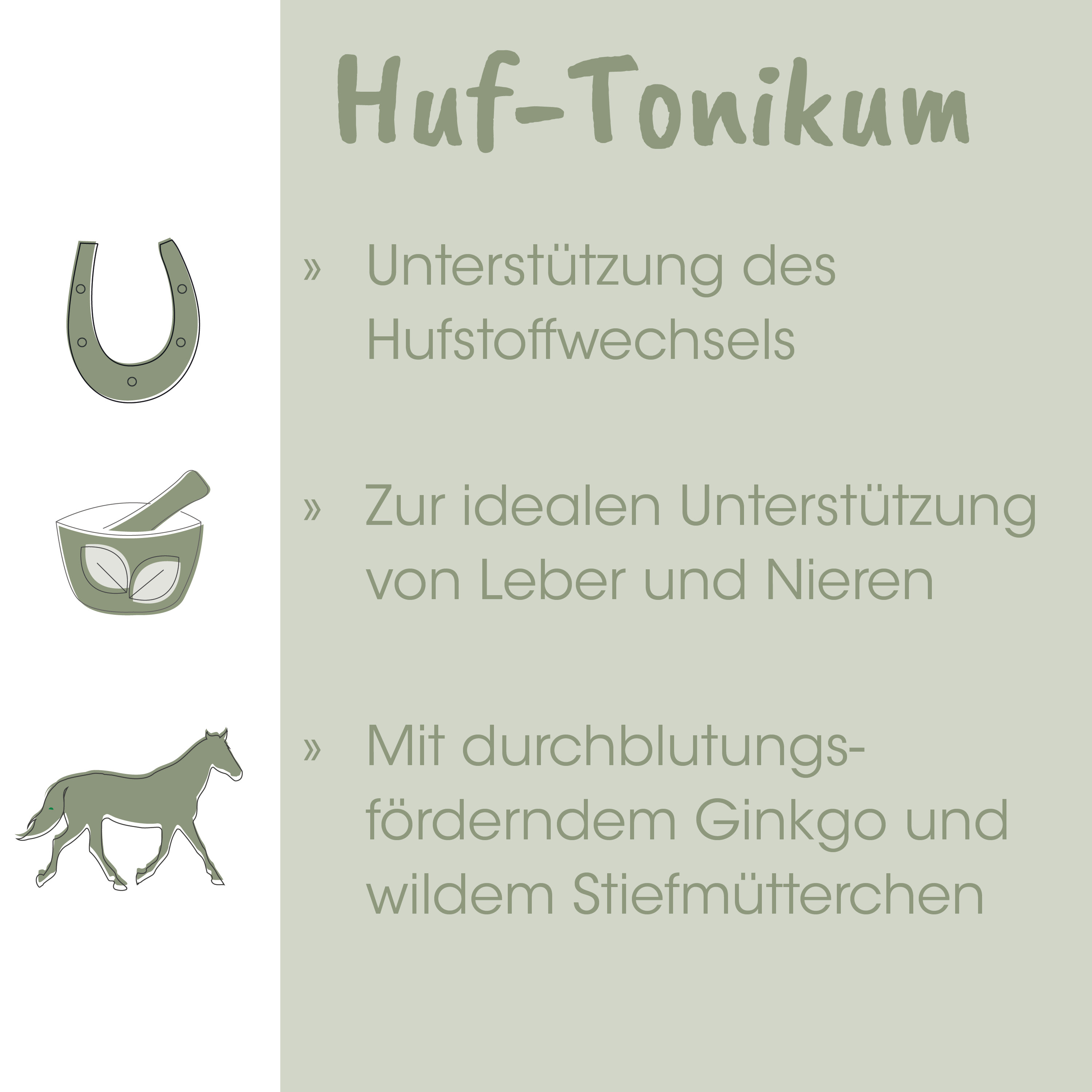 Pferd, Sattelsteg, Teigmischer, Ginkgo, Wildstute