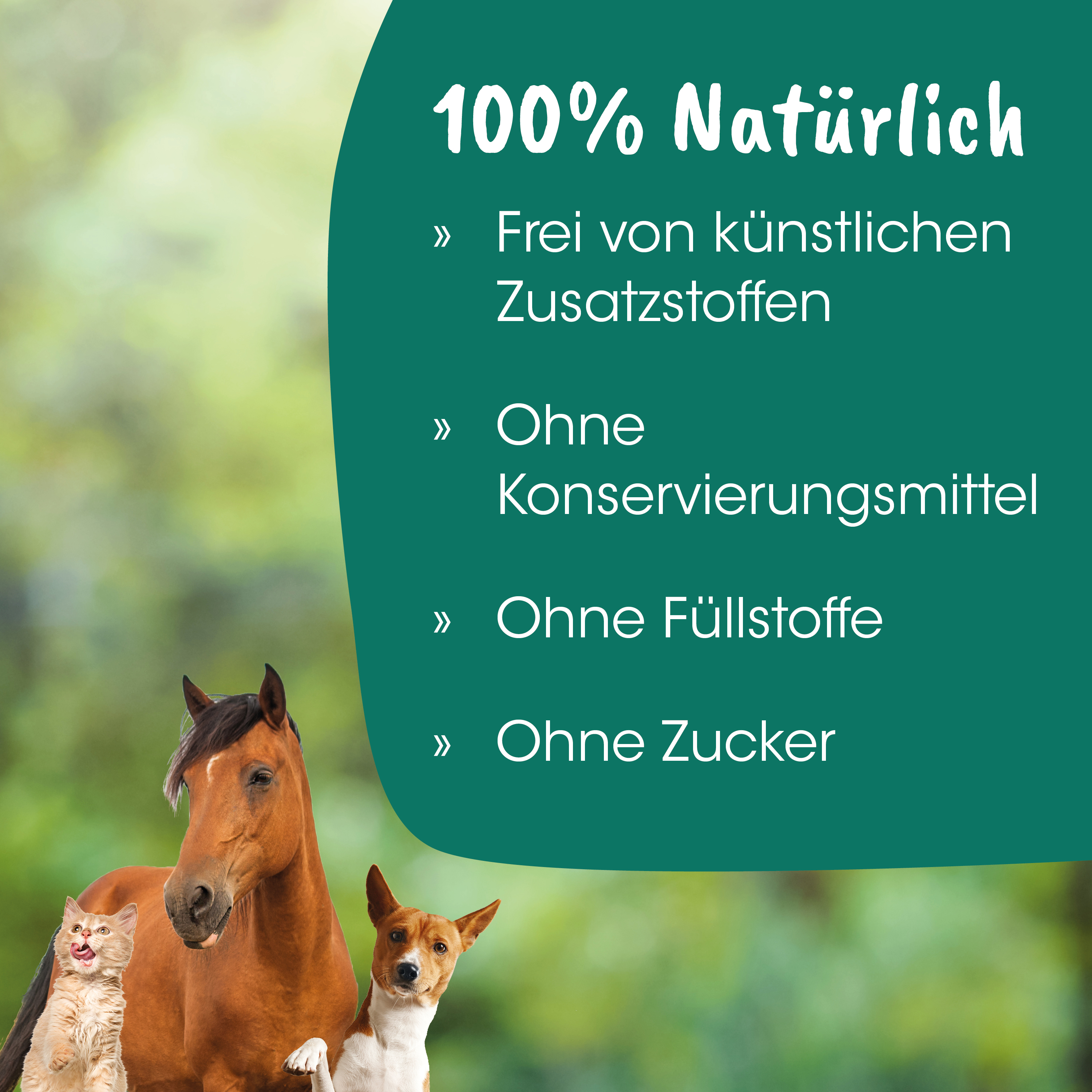 Pferd, Katze, Hund, Grün, Anzeige