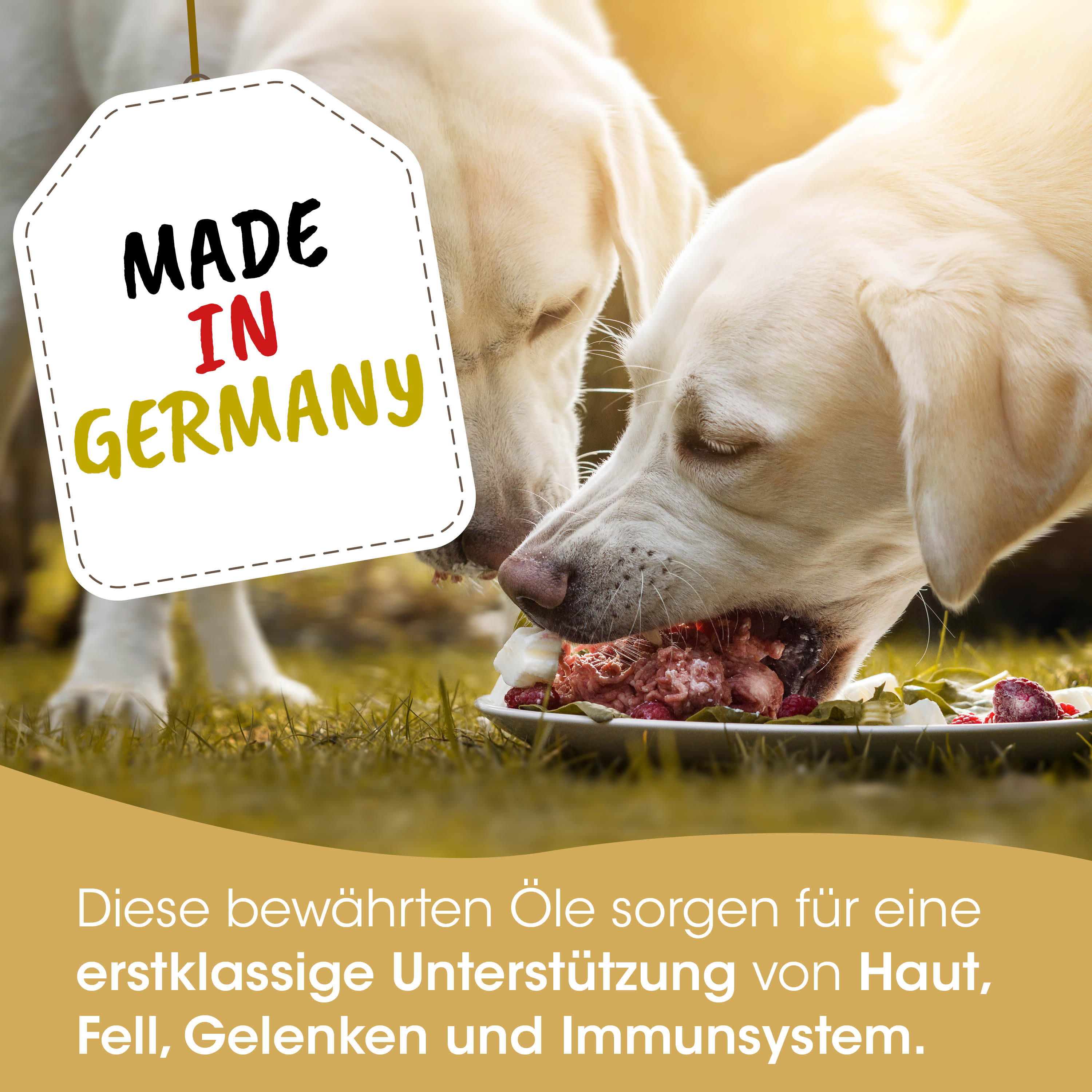 Hunde-Nahrung, Kauen, Fleischgerichte, Tiernahrung, Made in Germany