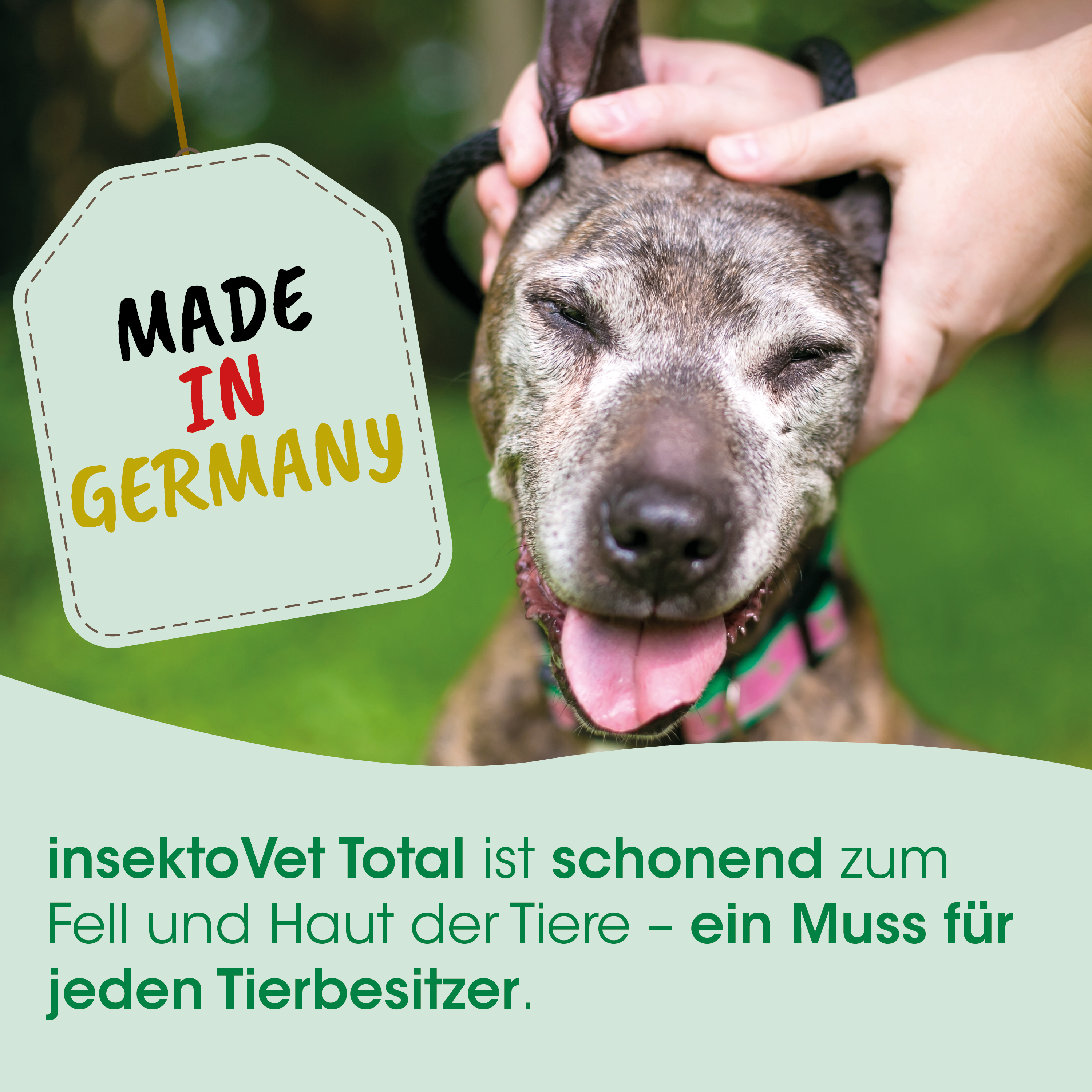 Hund, Halsband, pinkes Halsband, Tag, Made in Germany
