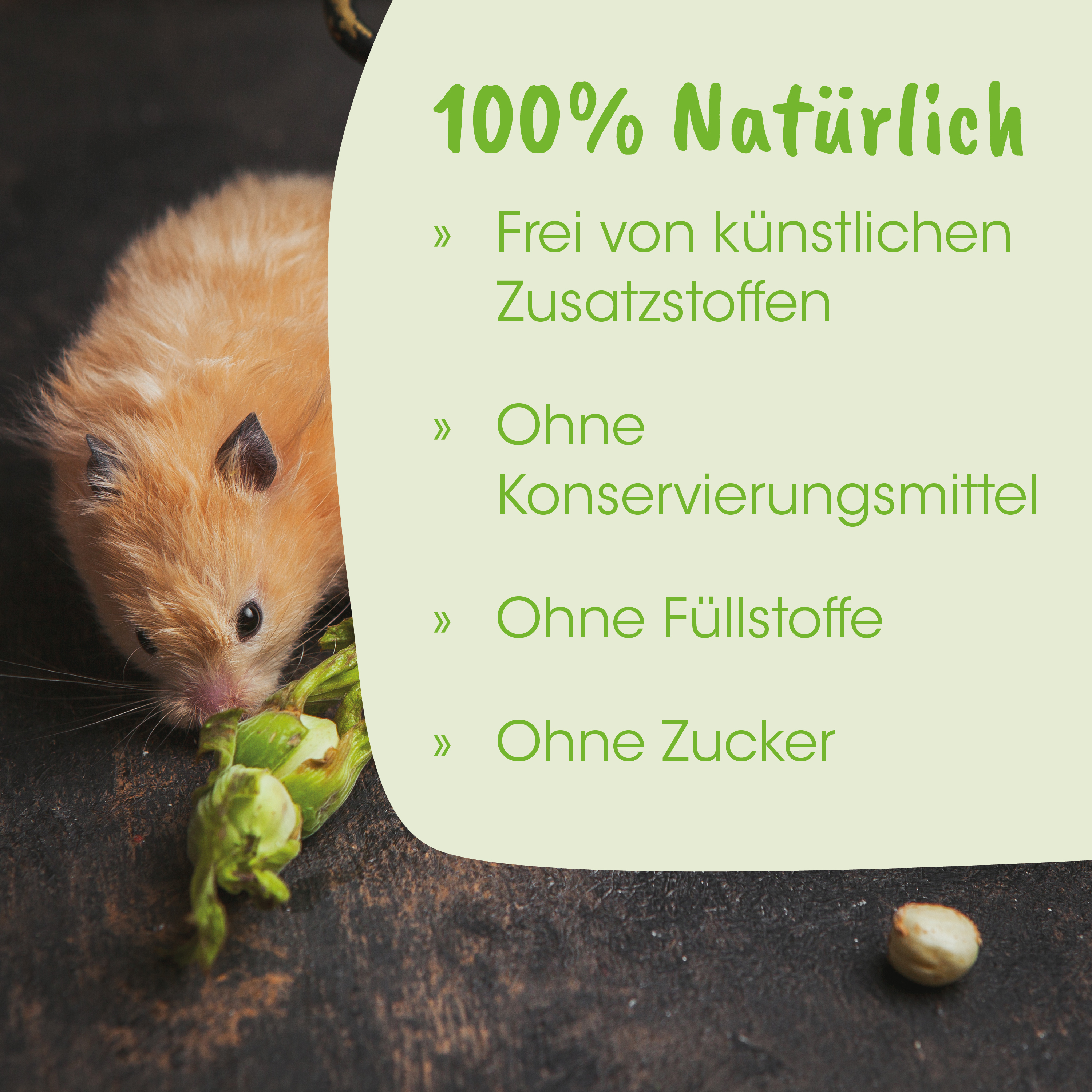  Hamster,  Haustier,  Gemüse,  ohne Zusatzstoffe,  kein Zucker