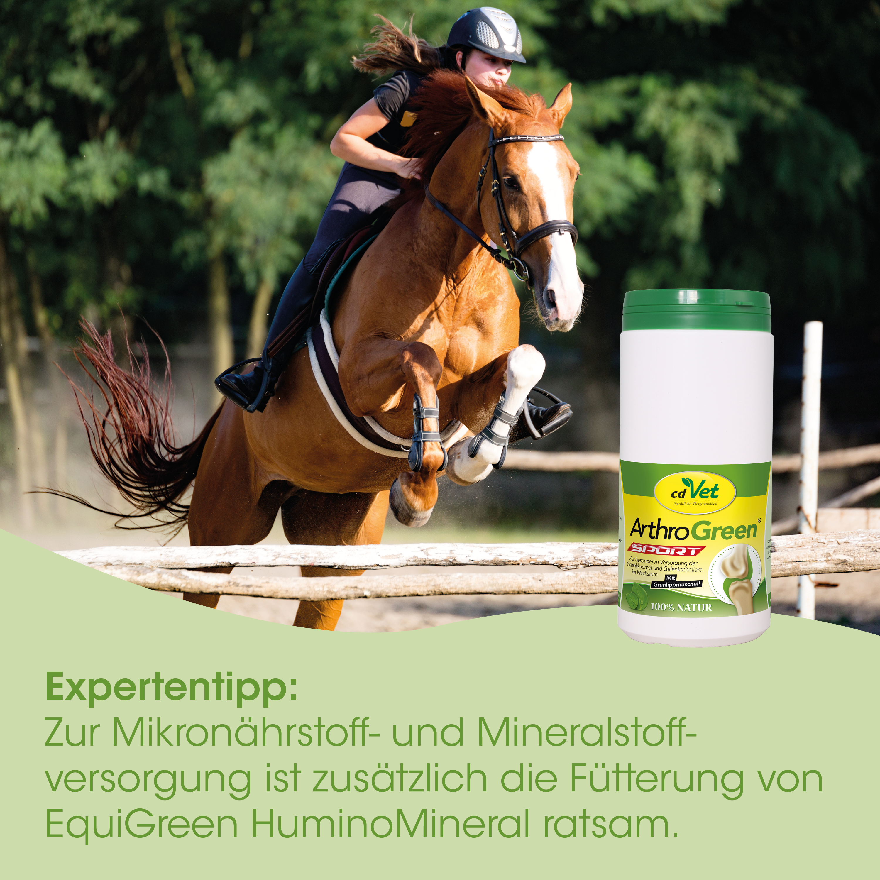 Pferd, Springen, Reitsport, Pferdetagesbedarf, Ergänzungsflasche