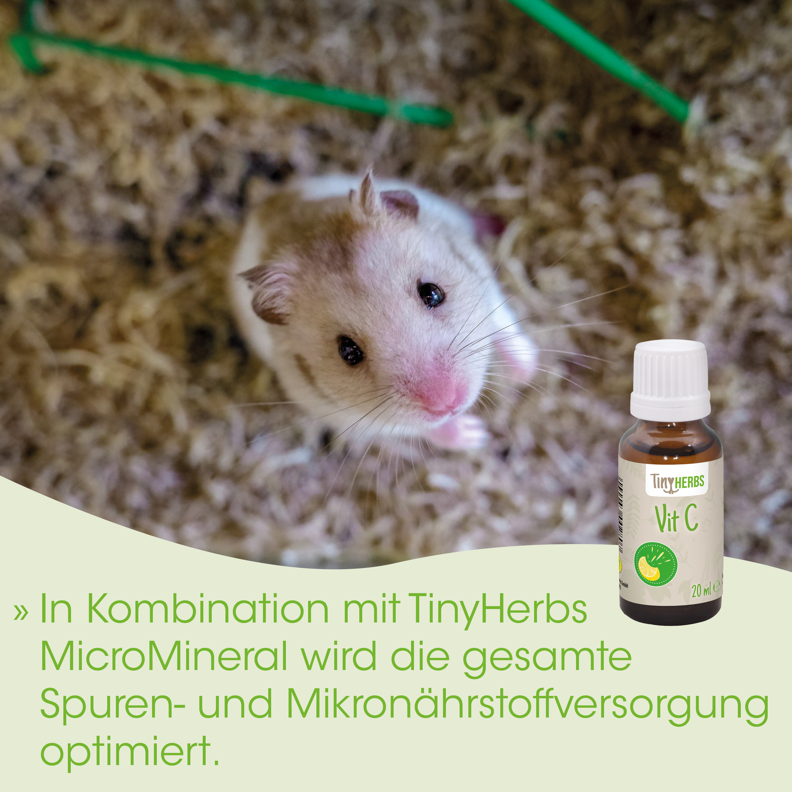  Hamster, Kleintier, Nahrungsergänzung, Vitamin C, Tiny Herbs