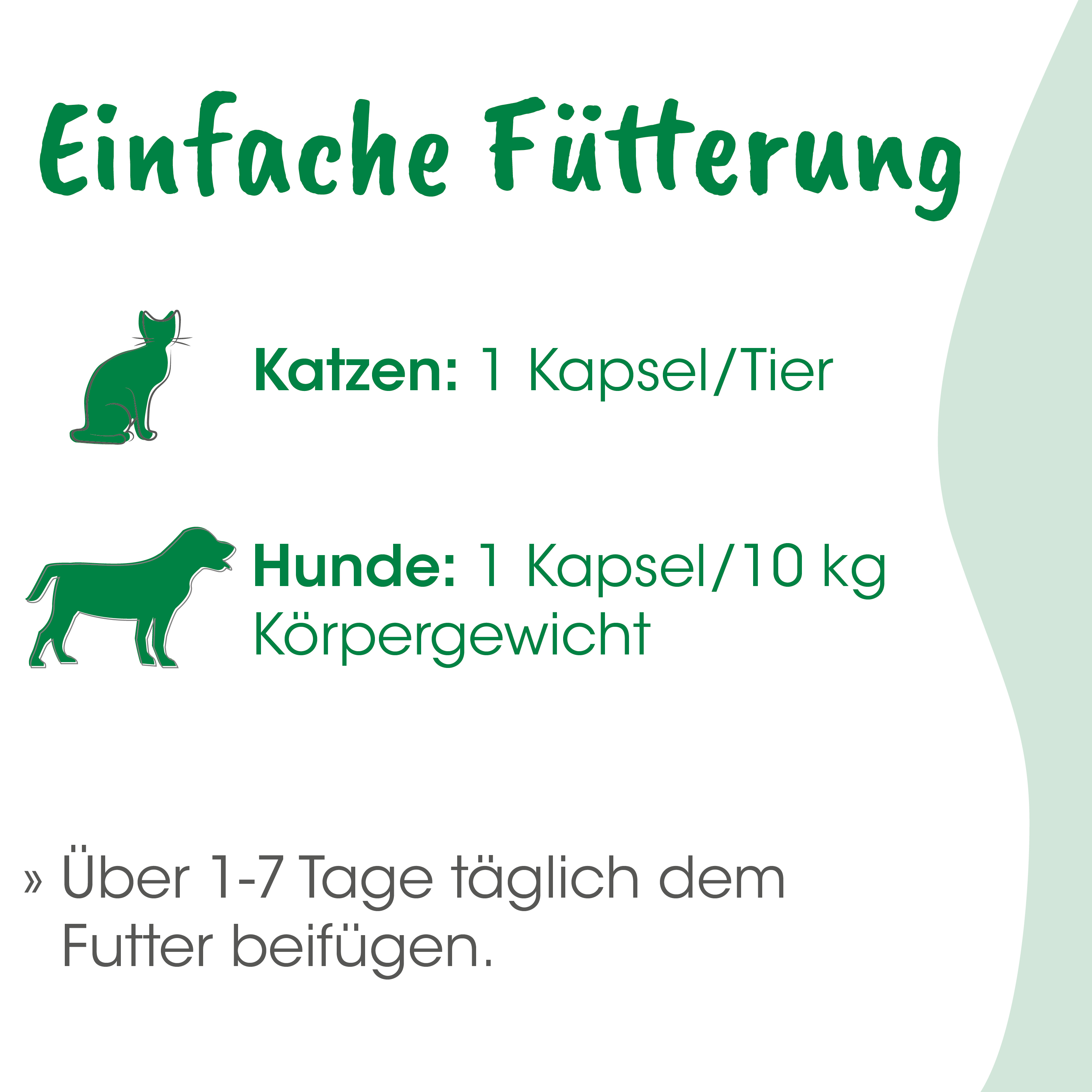 katze, hund, kapsel, futter, tier