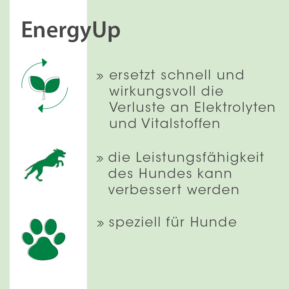 EnergyUp 450 g