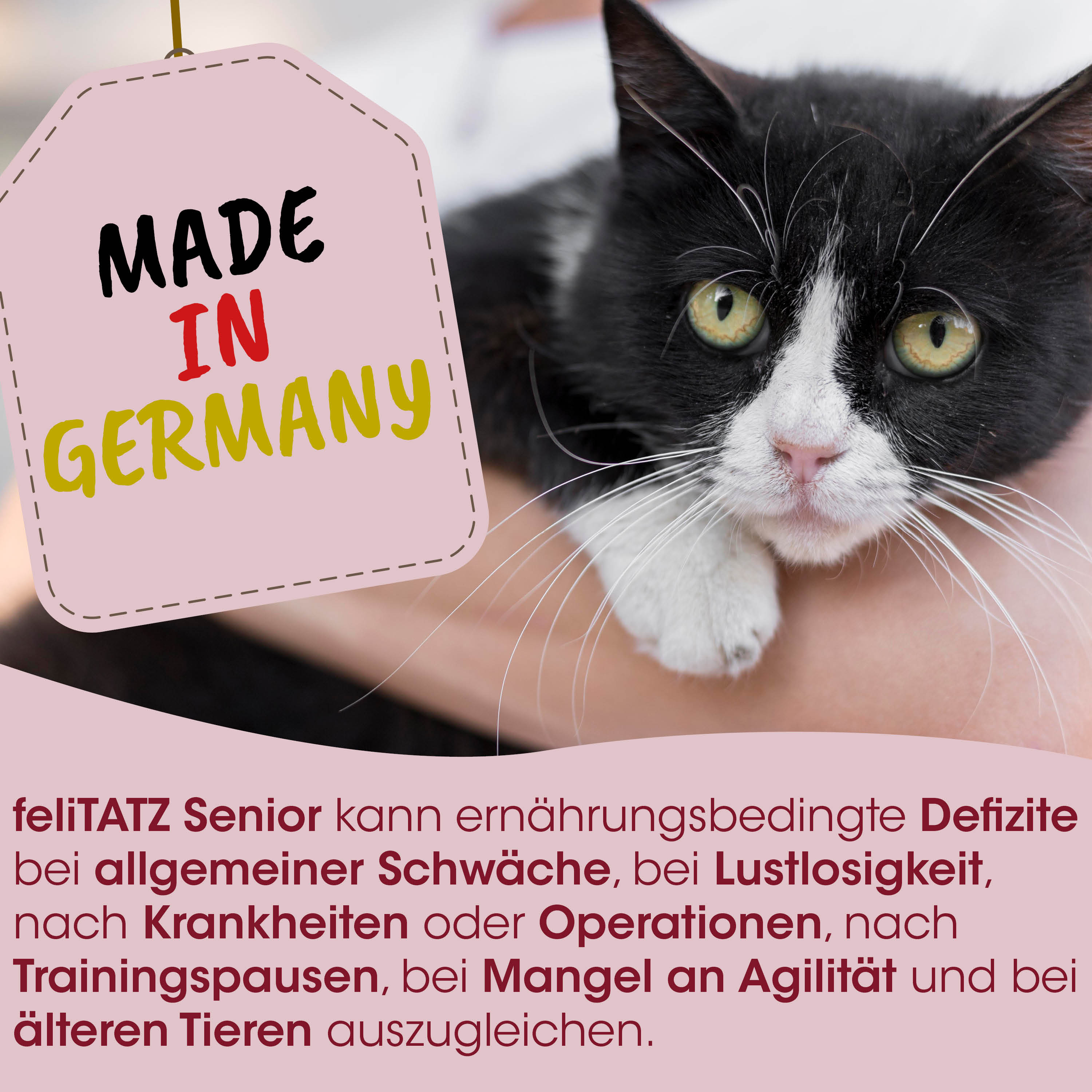 Katze, Schwarz-Weiß, Tierarzt, Pflegehinweise, Made in Germany