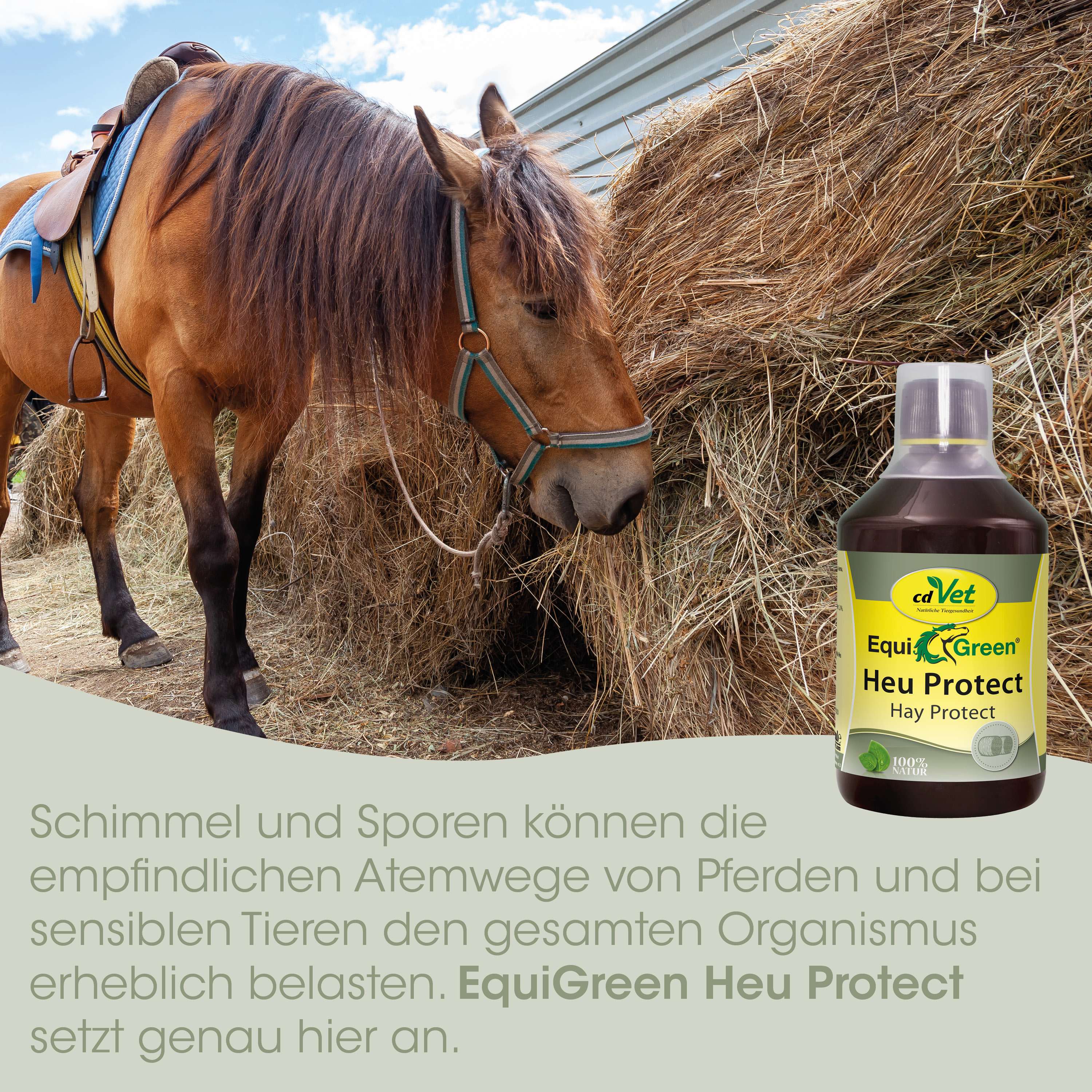 Pferd, Heu, Stall, Flasche, EquiGreen Heu Protect