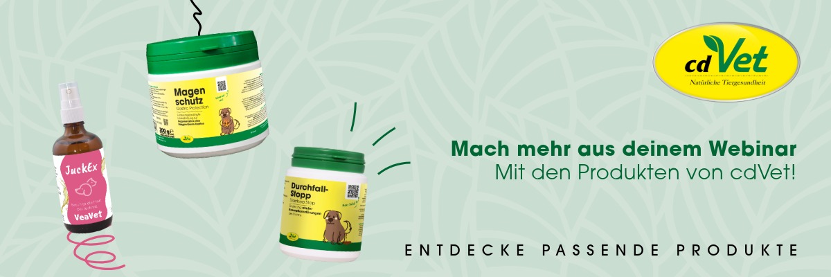 Kräuter, Pflanze, Würzen, Sirup