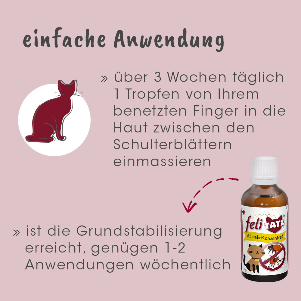 katze, medikament, Augentropfen, Tierpflege, Flasche