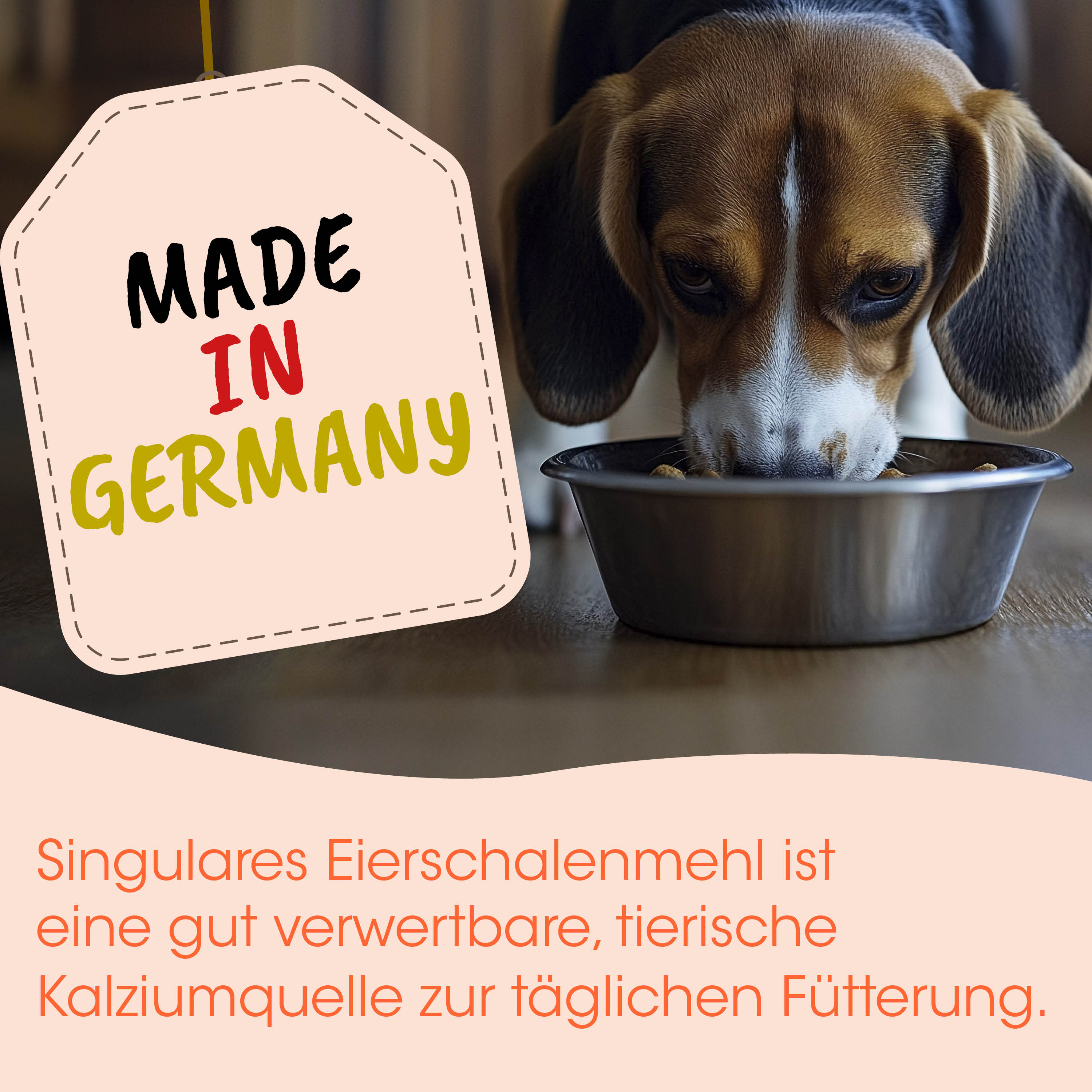 hund, hundefutter, hundefutter-schüssel, verzehr, made in germany