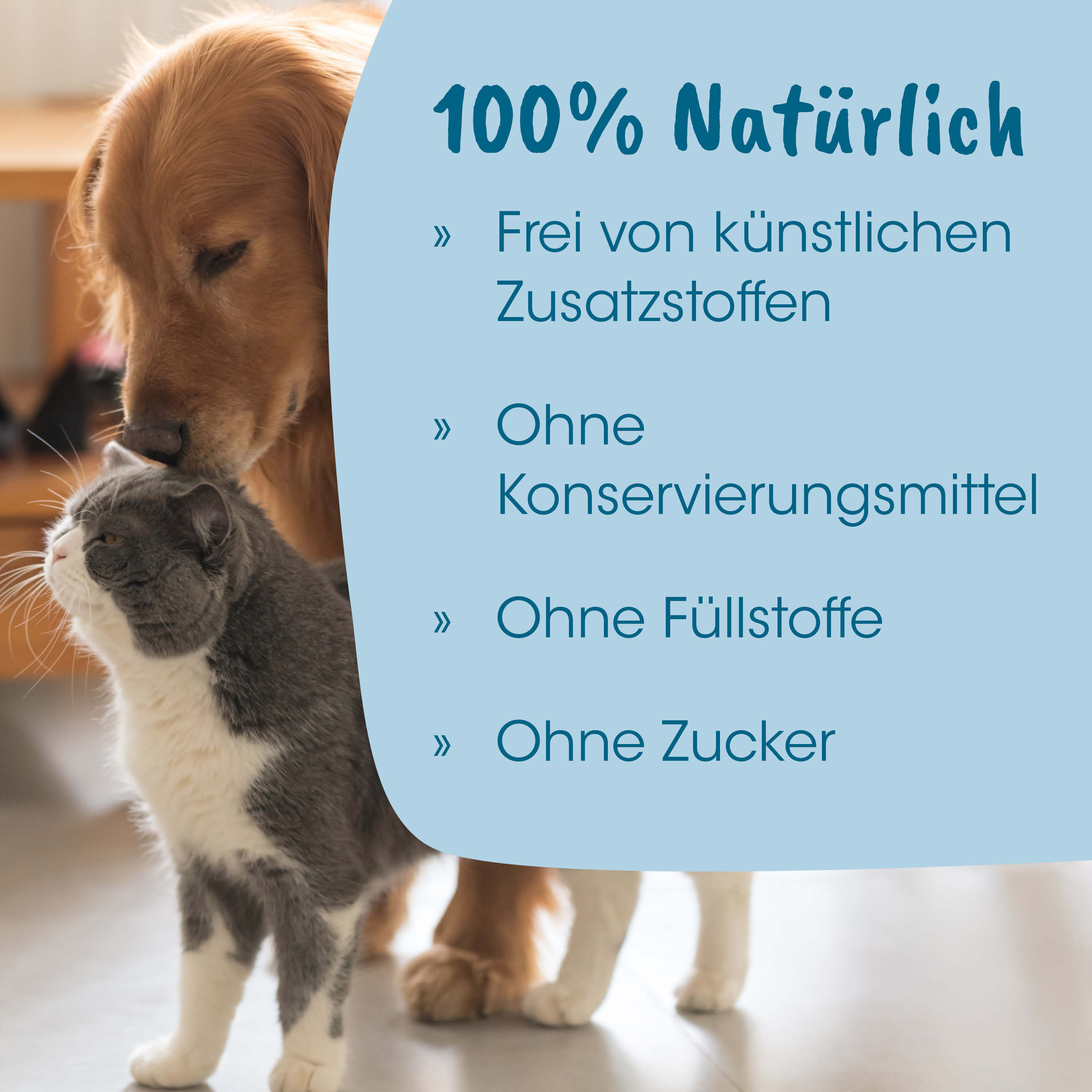 Haustier, Katze, Hund, Katzenfigur, Tierbranding