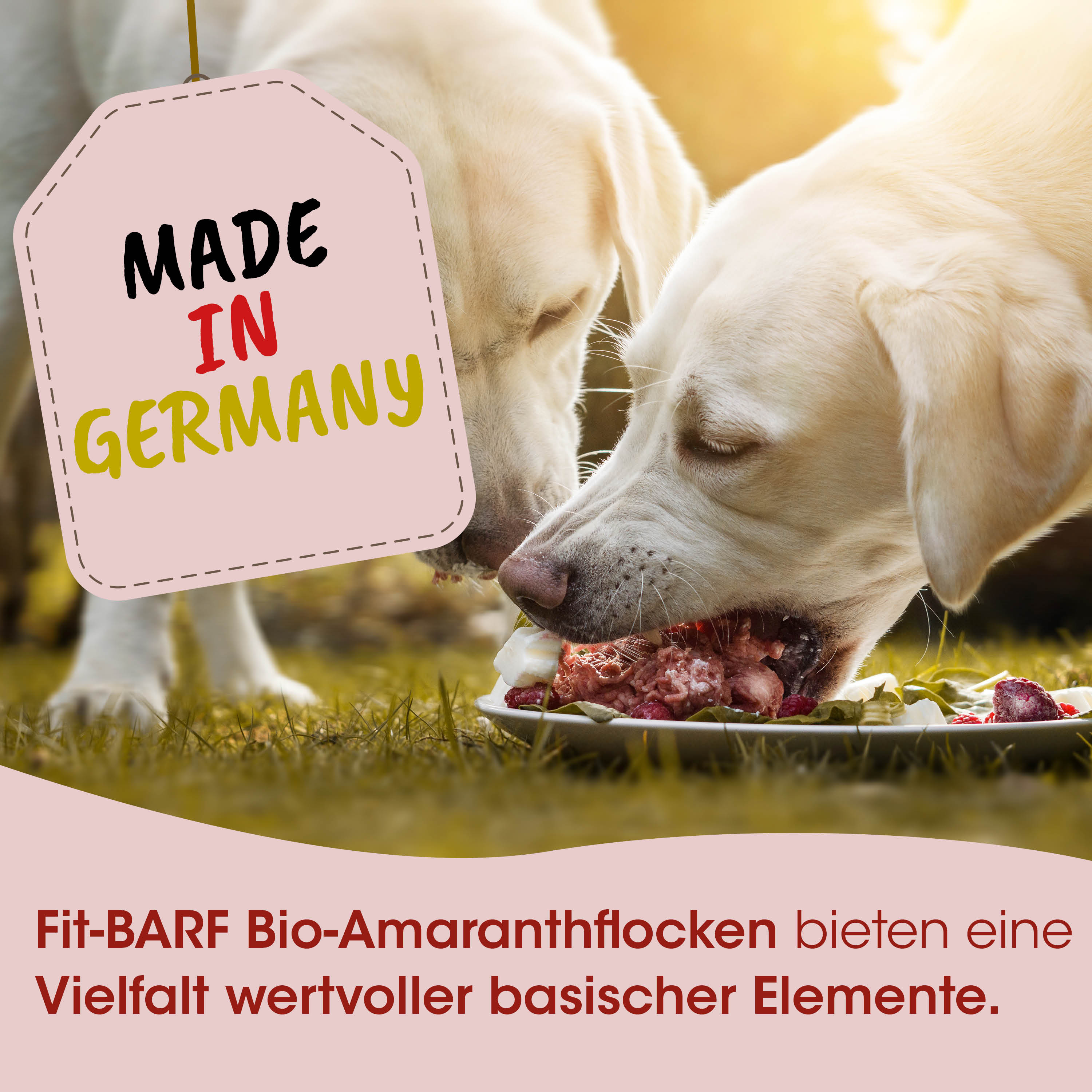 Hund, Hundefutter, Amaranthflocken, Bio, Gericht