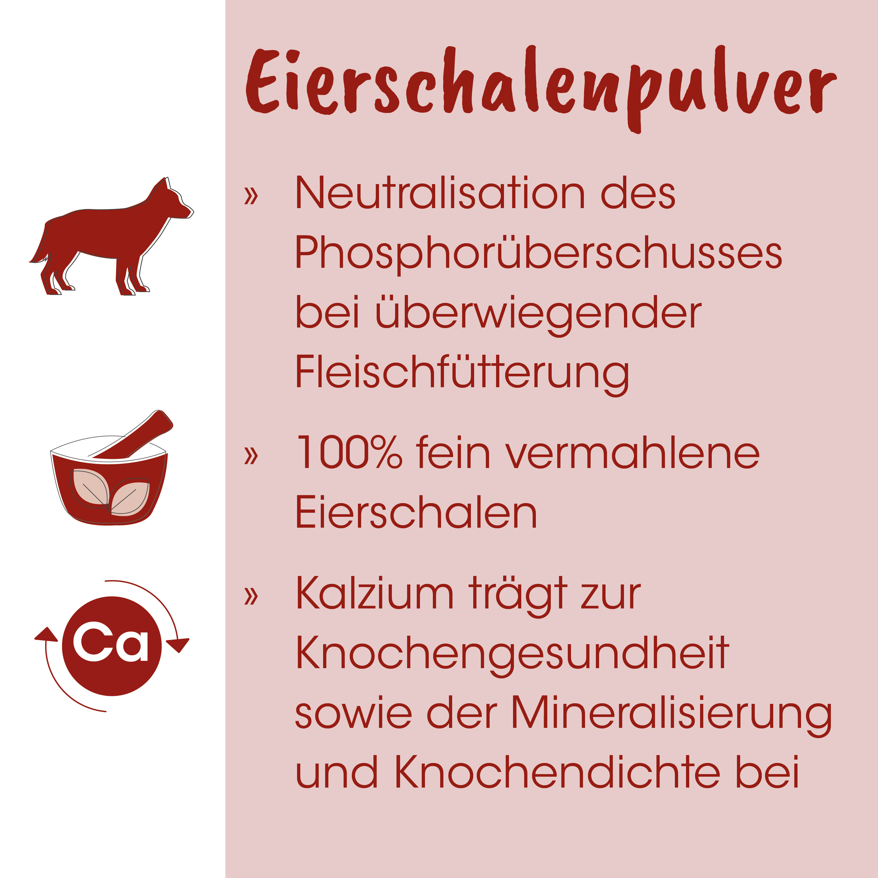 Eierschalenpulver, Kalzium, Mineralstoff, Fleischfutter, Eierschale