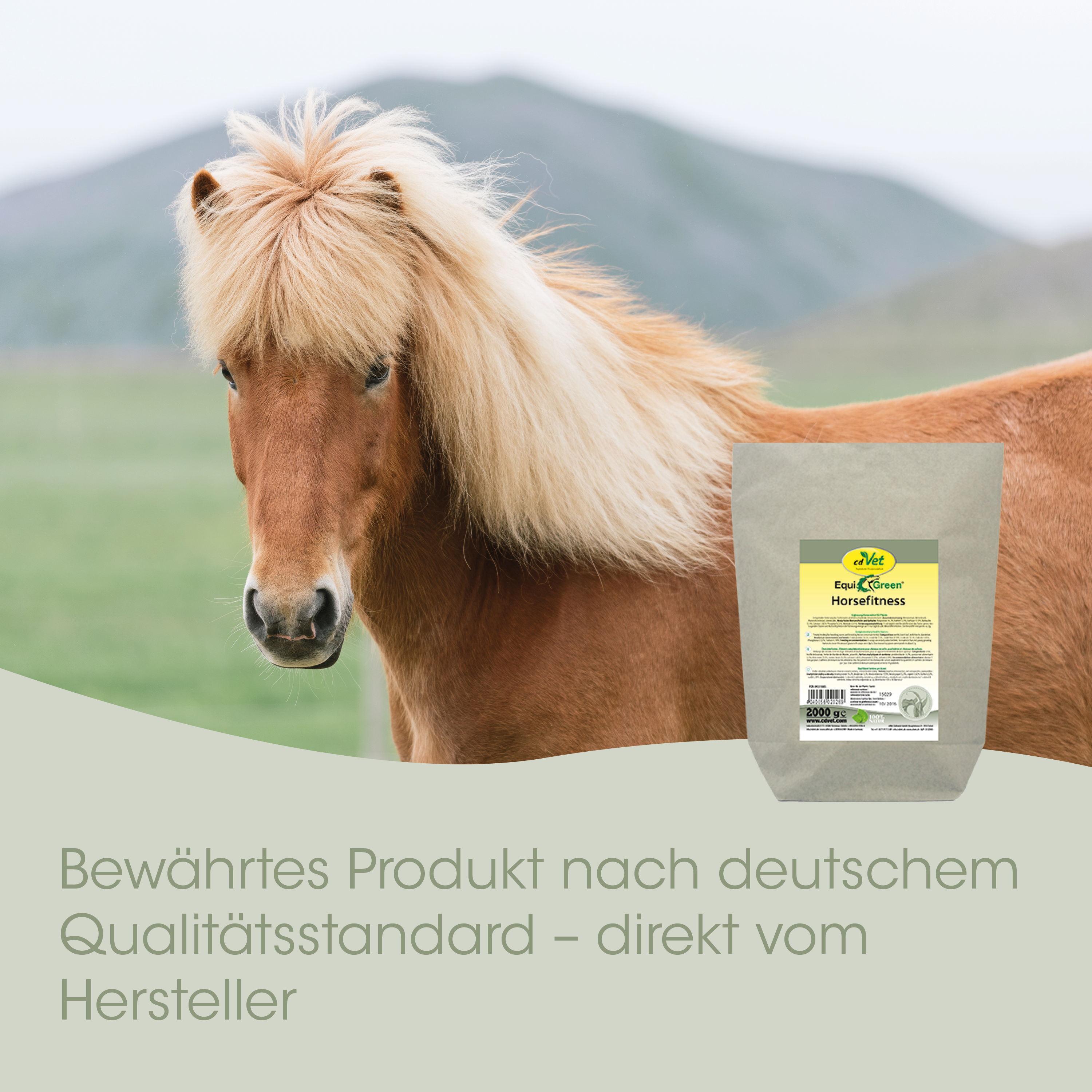 Pferd, Pony, Fell, Mähne, Tierfutter