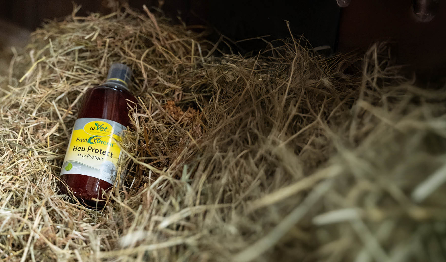 Bier, Flasche, Bier-Flasche, Natur, Draußen