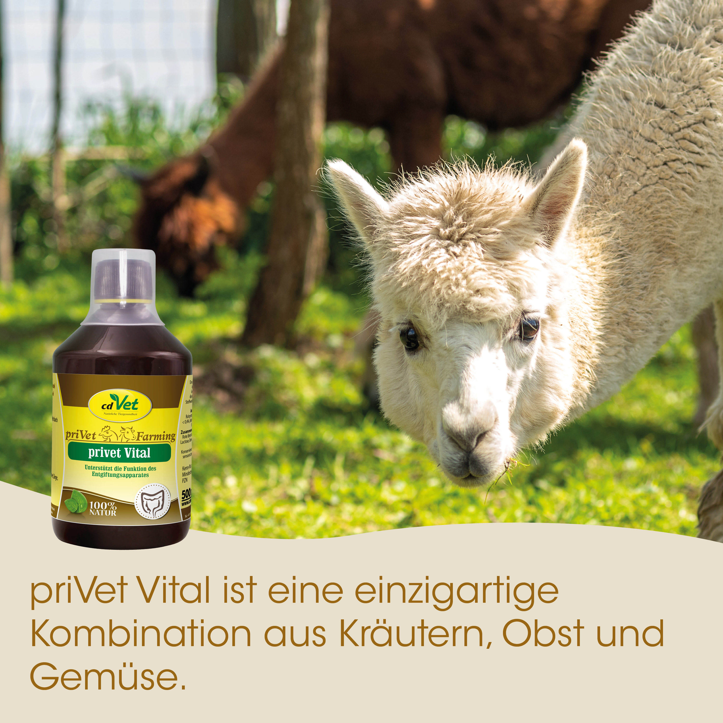 Lama, Tierfutter, Futtertherapie, Kräuter, Flasche