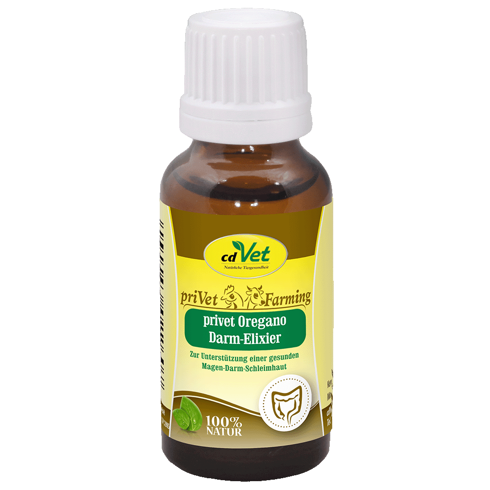 priVet Oregano-Darm-Elixier 20 ml