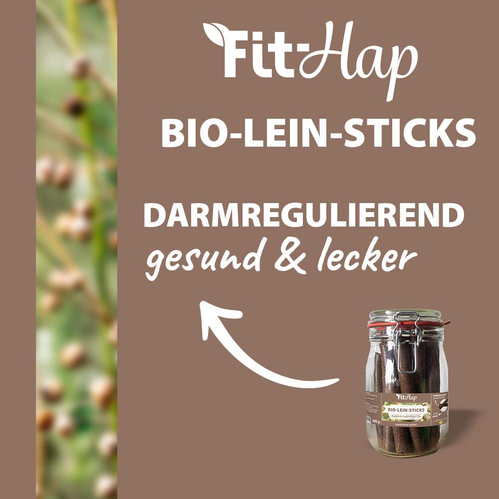 Bio, Linsensticks, Darmregulierend, gesund, lecker
