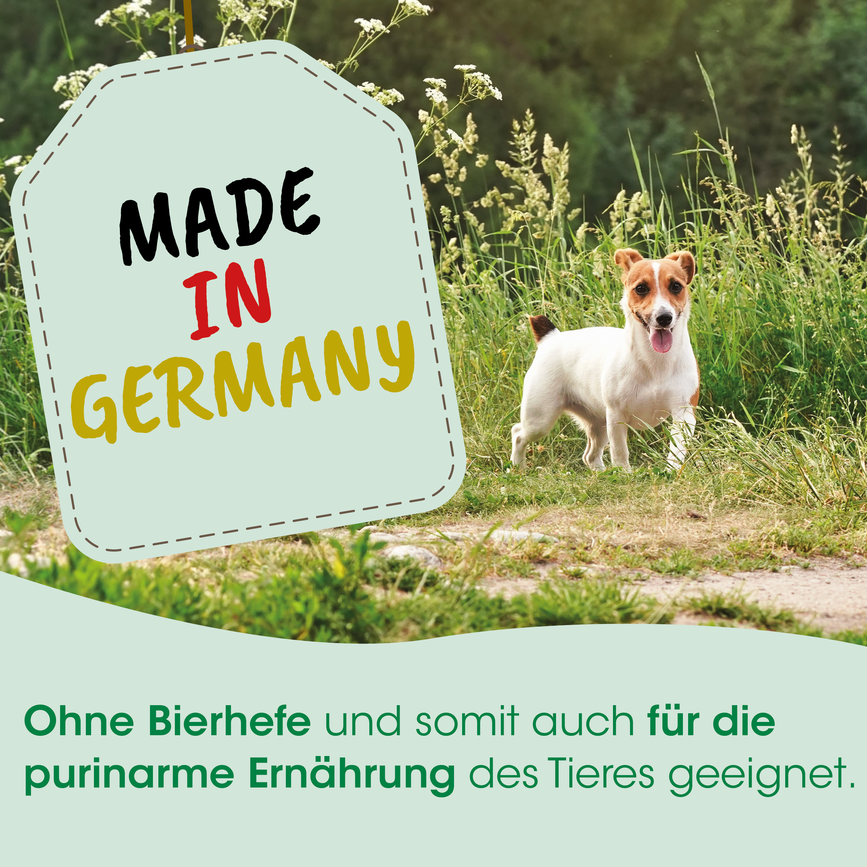 hund, hundewiese, made in germany, gartenspiel, hundeplausch