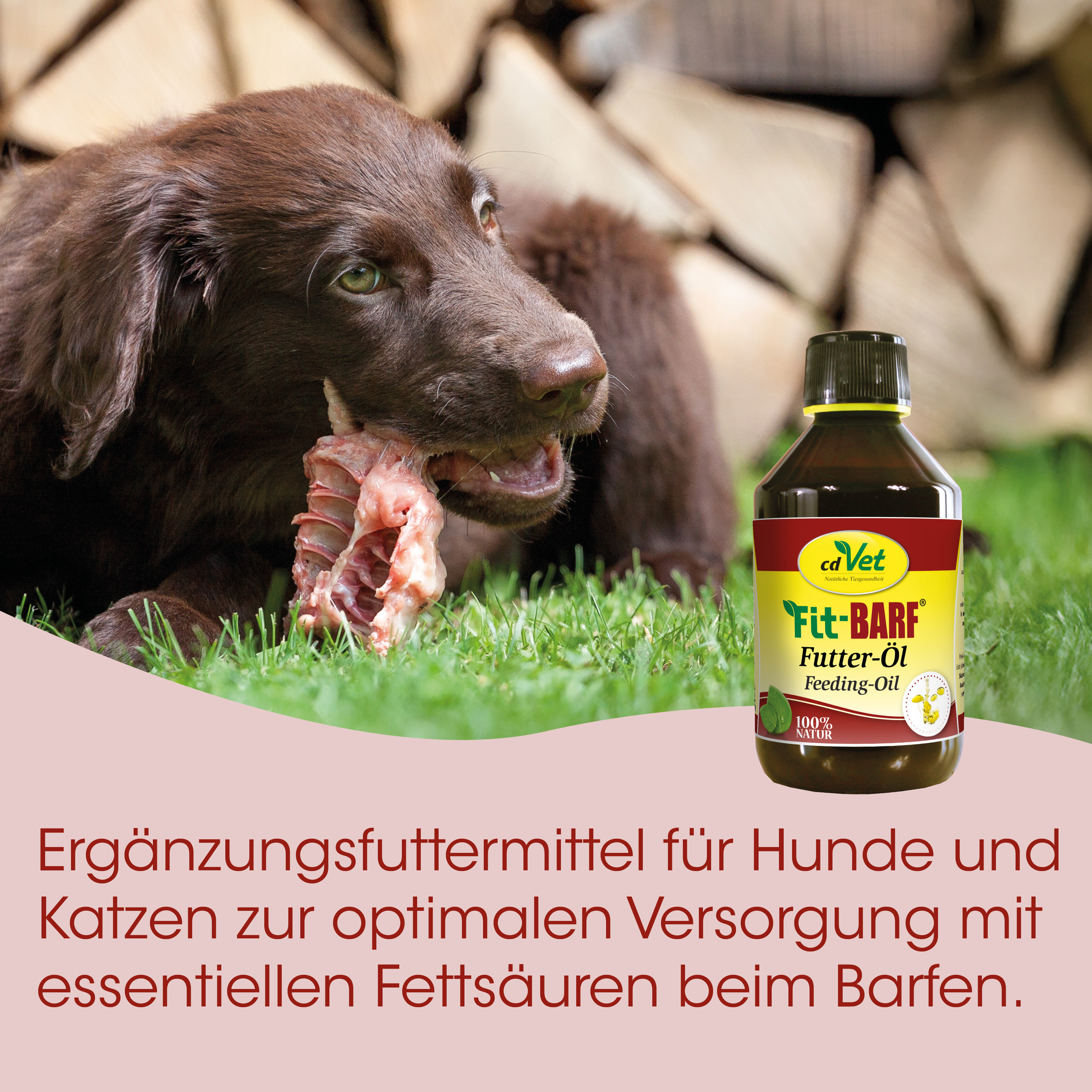 Hund, Futter-Öl, Ergänzungsfutter, Fettbarf, Hundebezogen