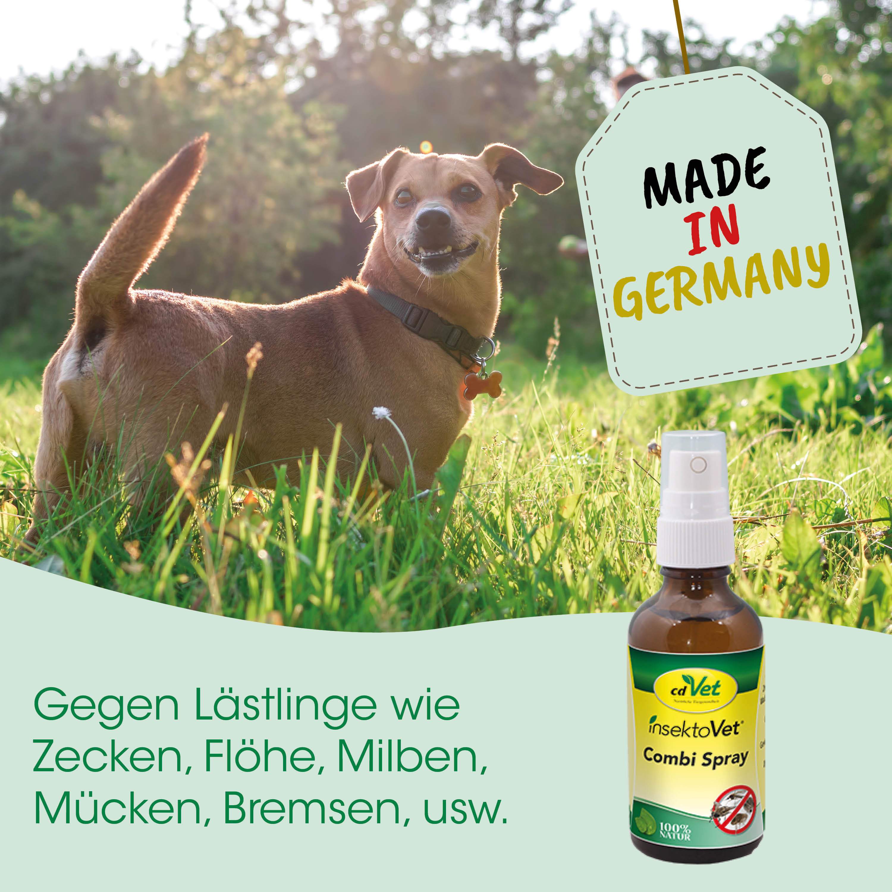 Hund, Hundewasser, Insektenschutz, Spray, Naturgras