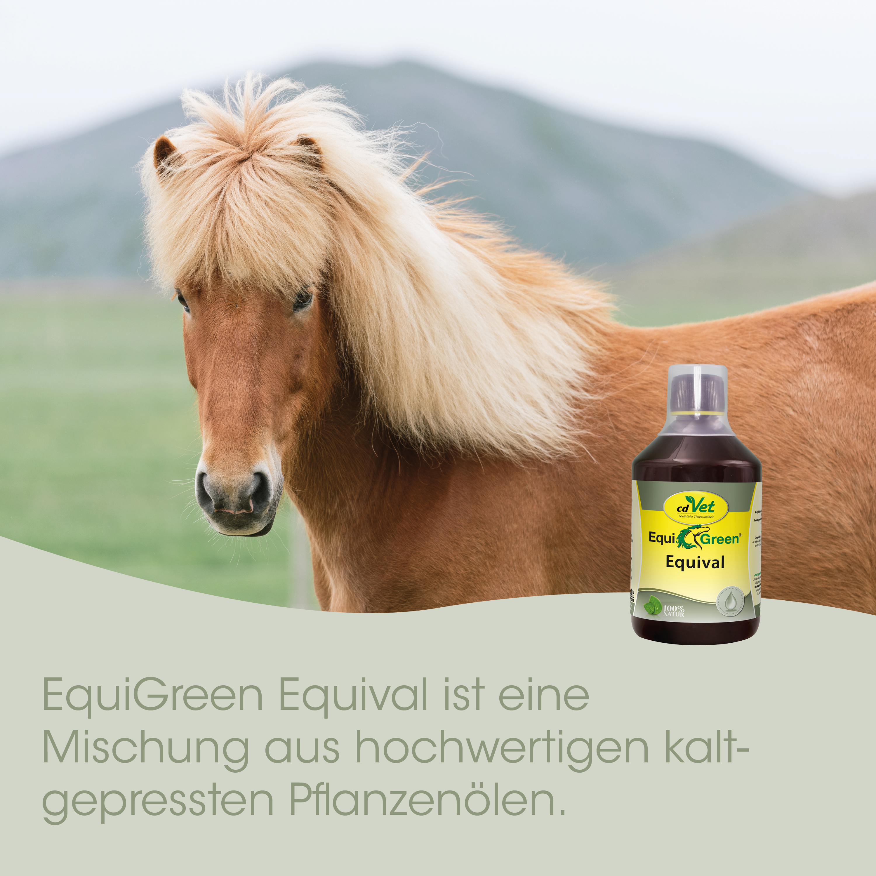 Pferd, Pony, Pferde, Öl, Flasche