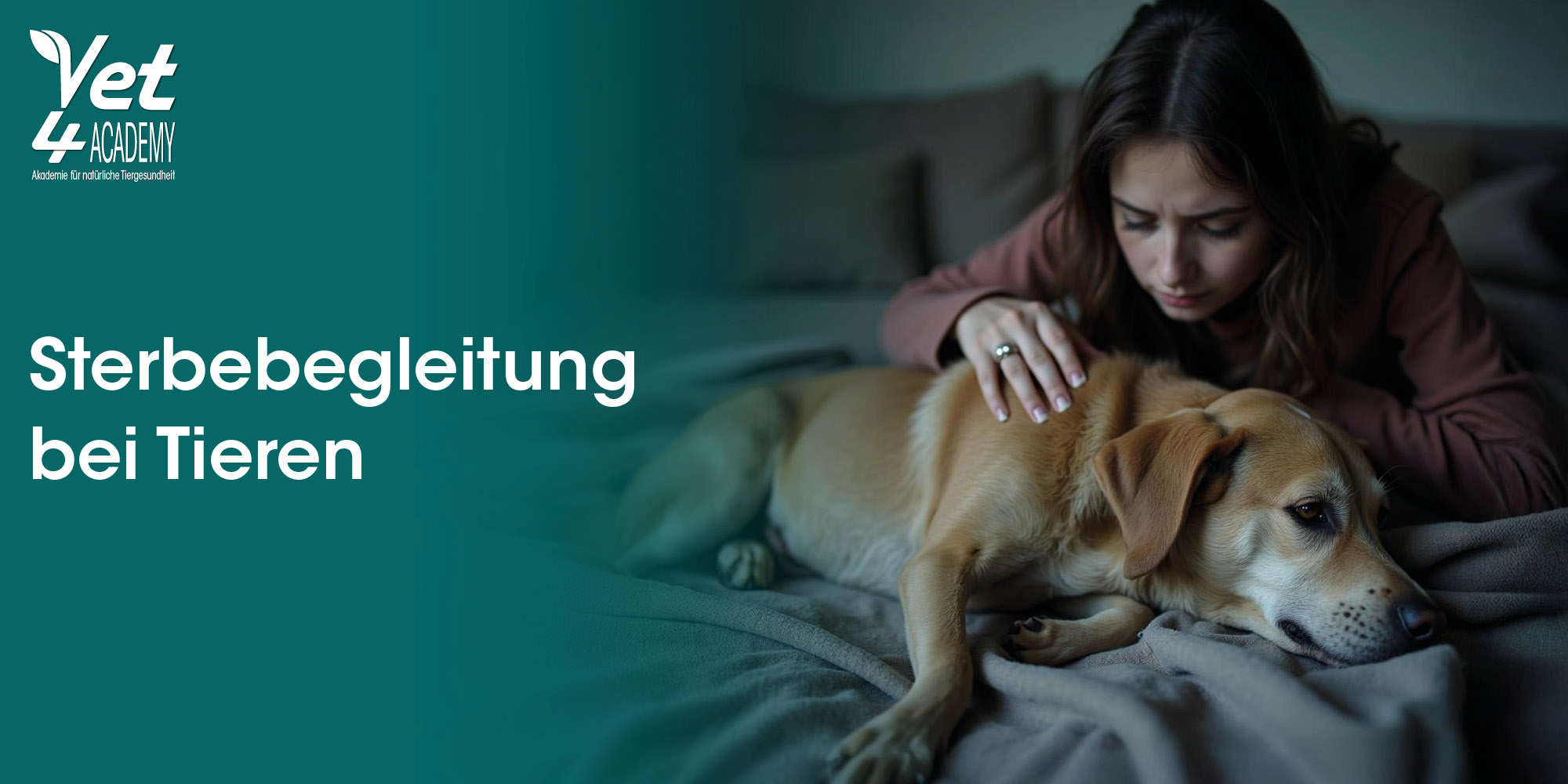 Hund, Erwachsener, Weiblich, Person, Frau, Hund, Erwachsener, Weiblich, Person, Frau, Hund, Erwachsener, Weiblich, Person, Frau