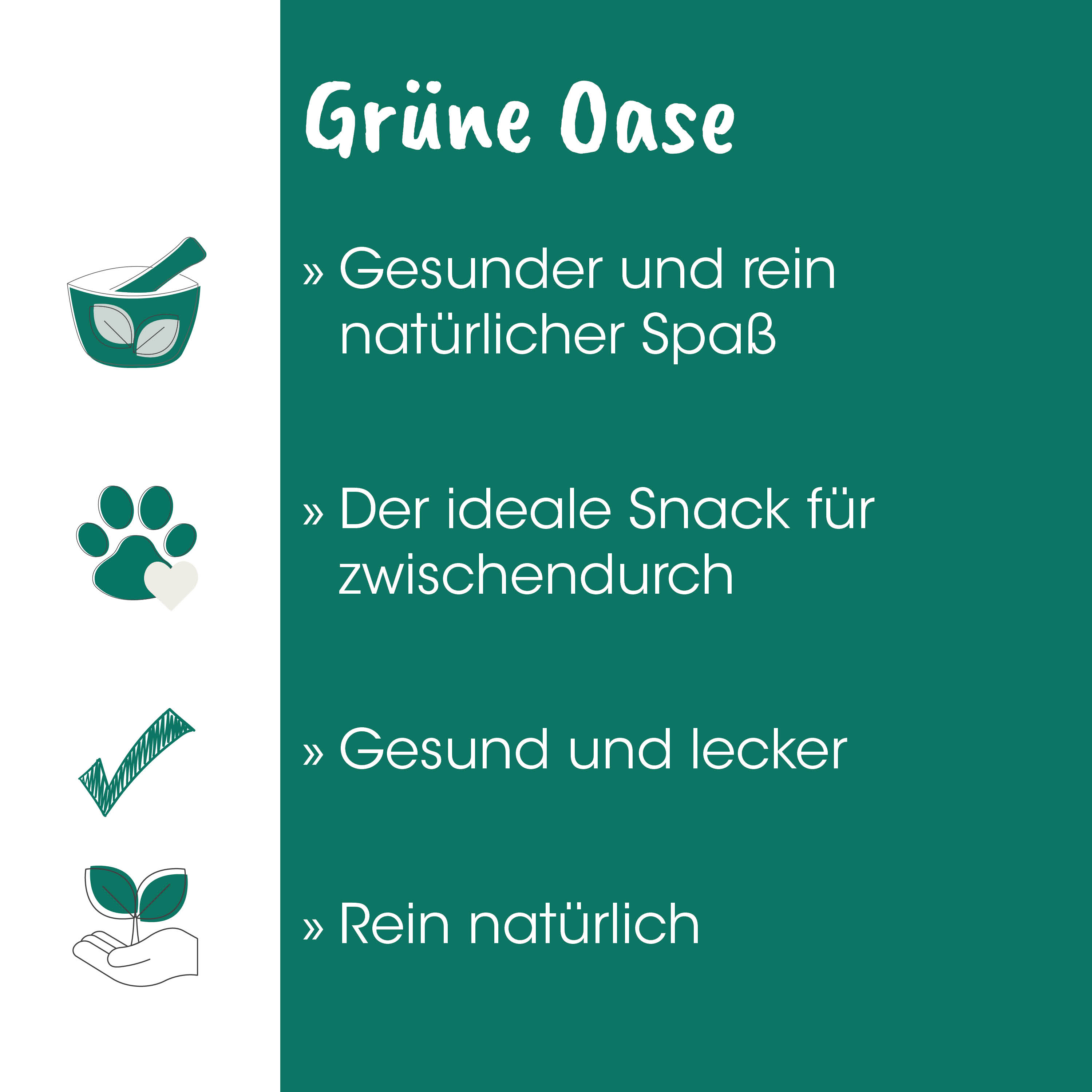 grüne oase, naturprodukt, snack, gesund, bio