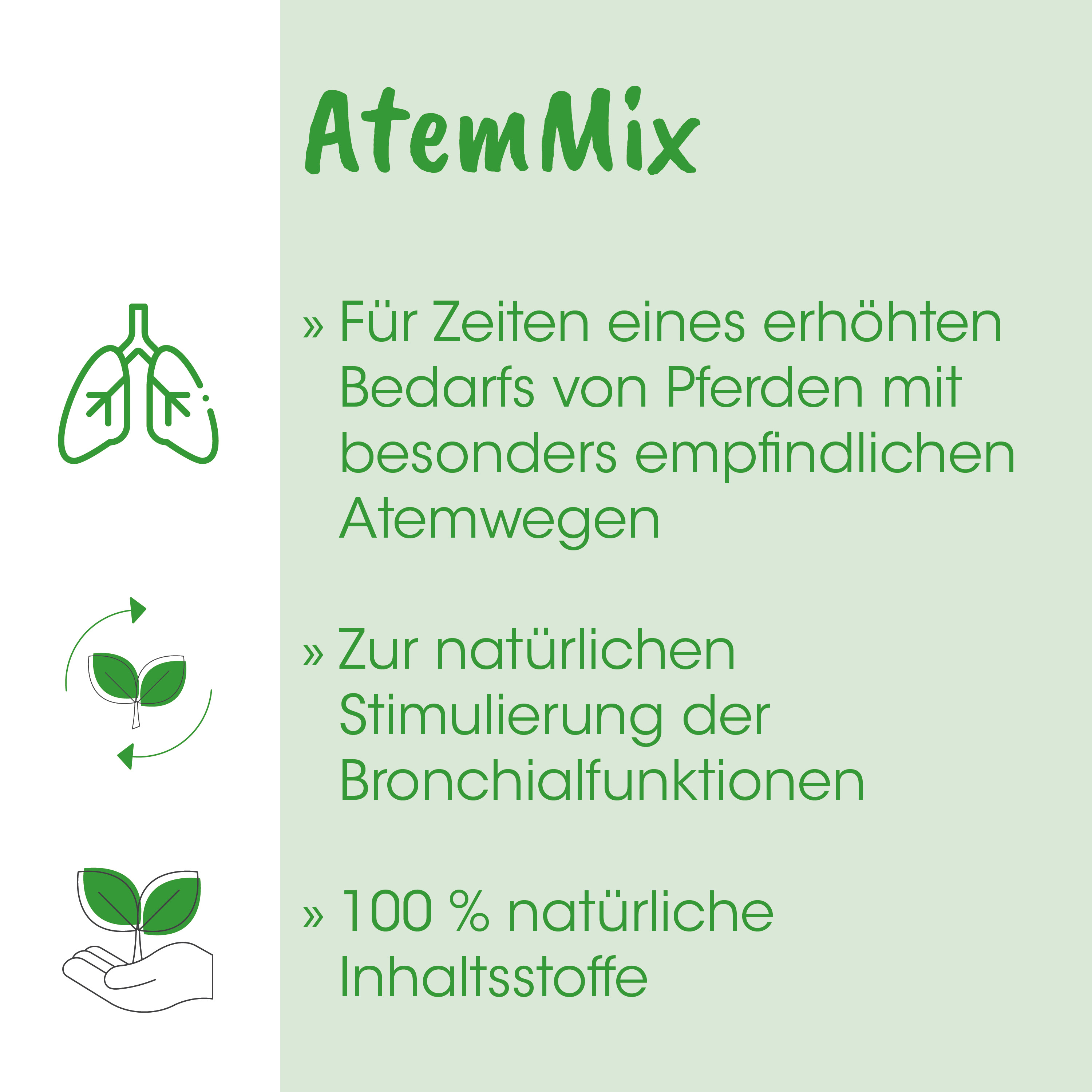 Lunge, Luftwege, Pflanze, Öko, Natur