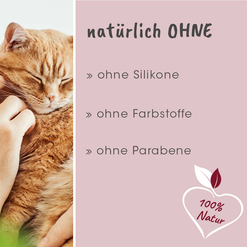 Katzenbild, Katzenfreund, Haustier, Tierliebe, Naturprodukt