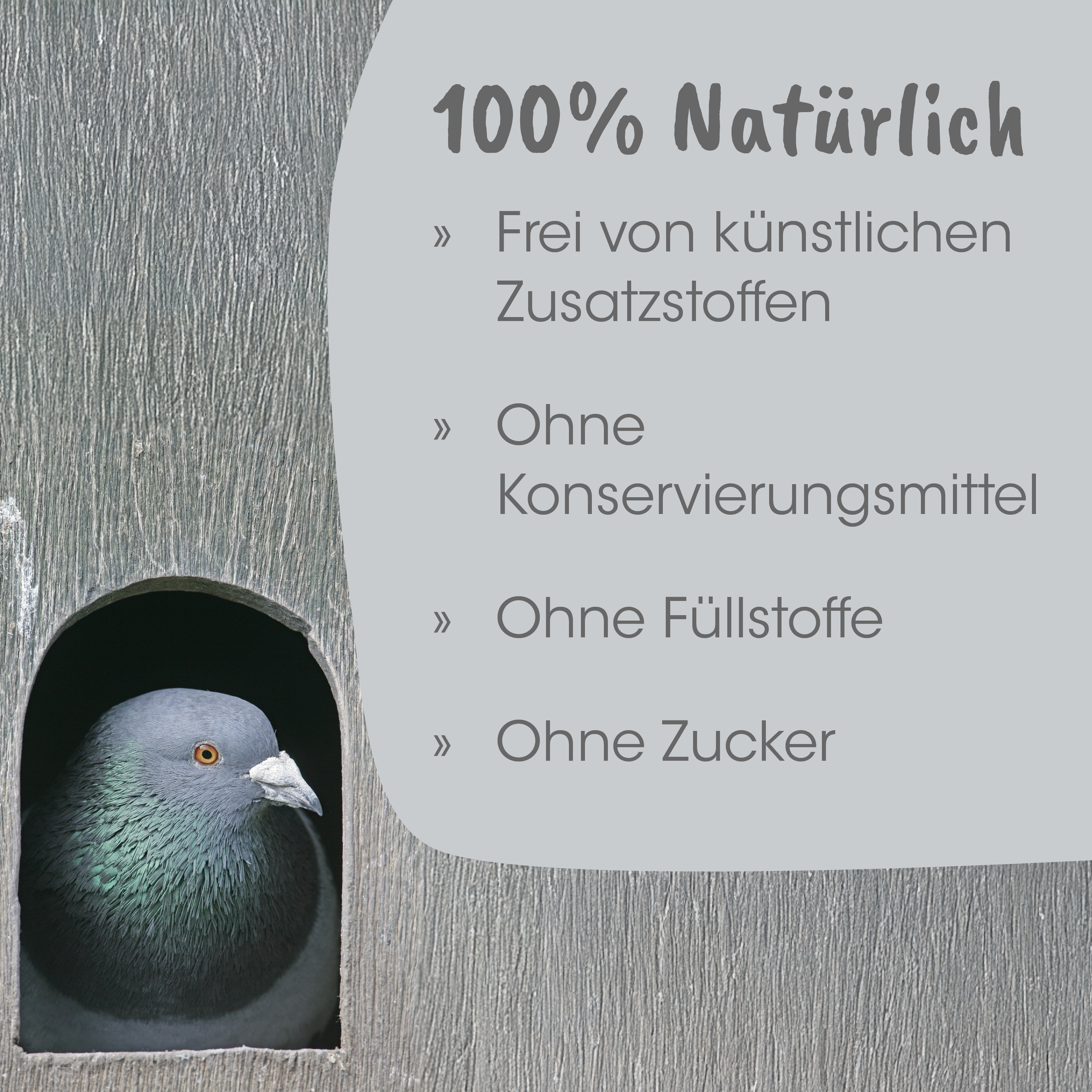 Taube, Fassadendekor, Holzoptik, Vogelkasten, Naturholz