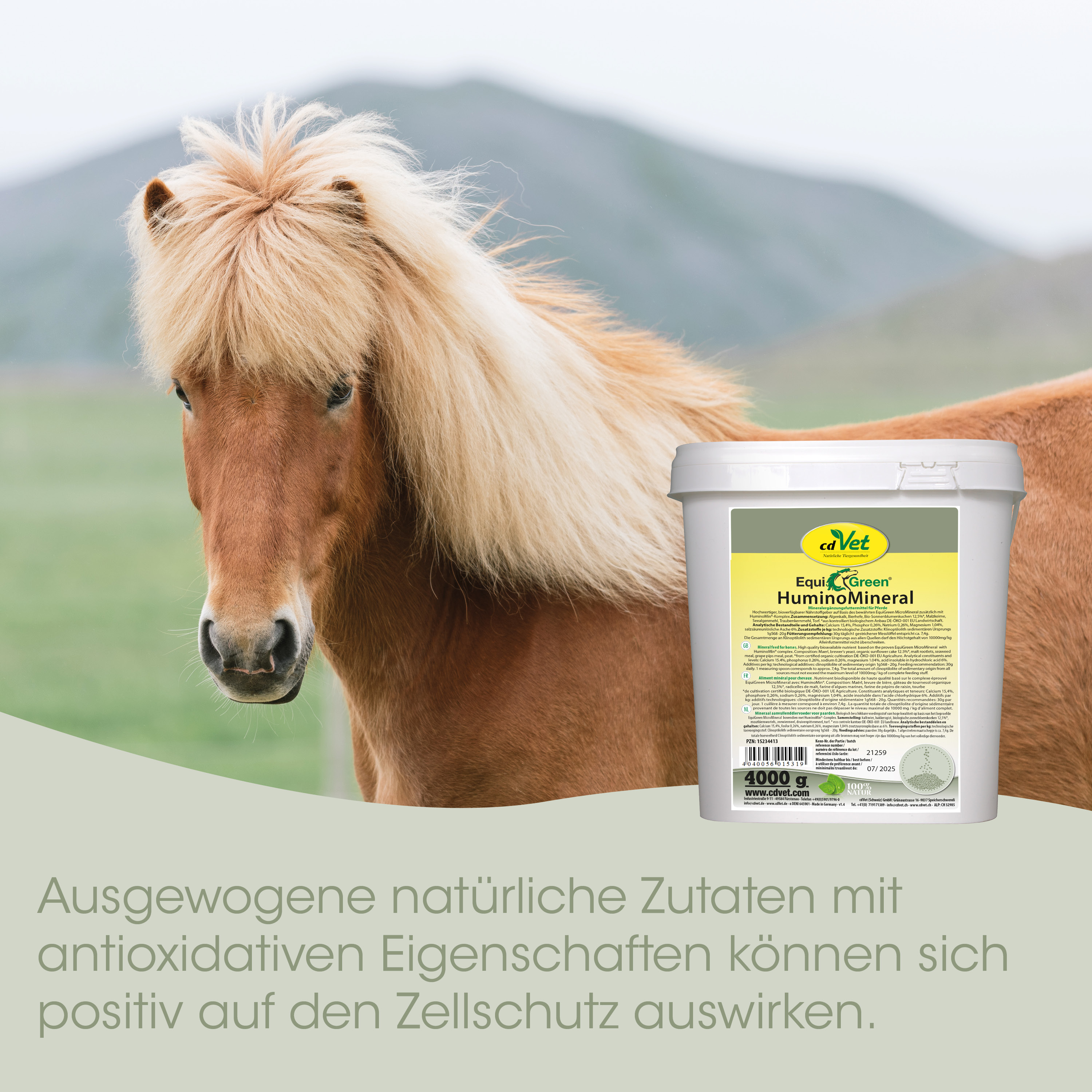 Pferd, Hufeisengesund, Mineralfuttermittel, Himmelblau-Top, Seitlicher Behälter