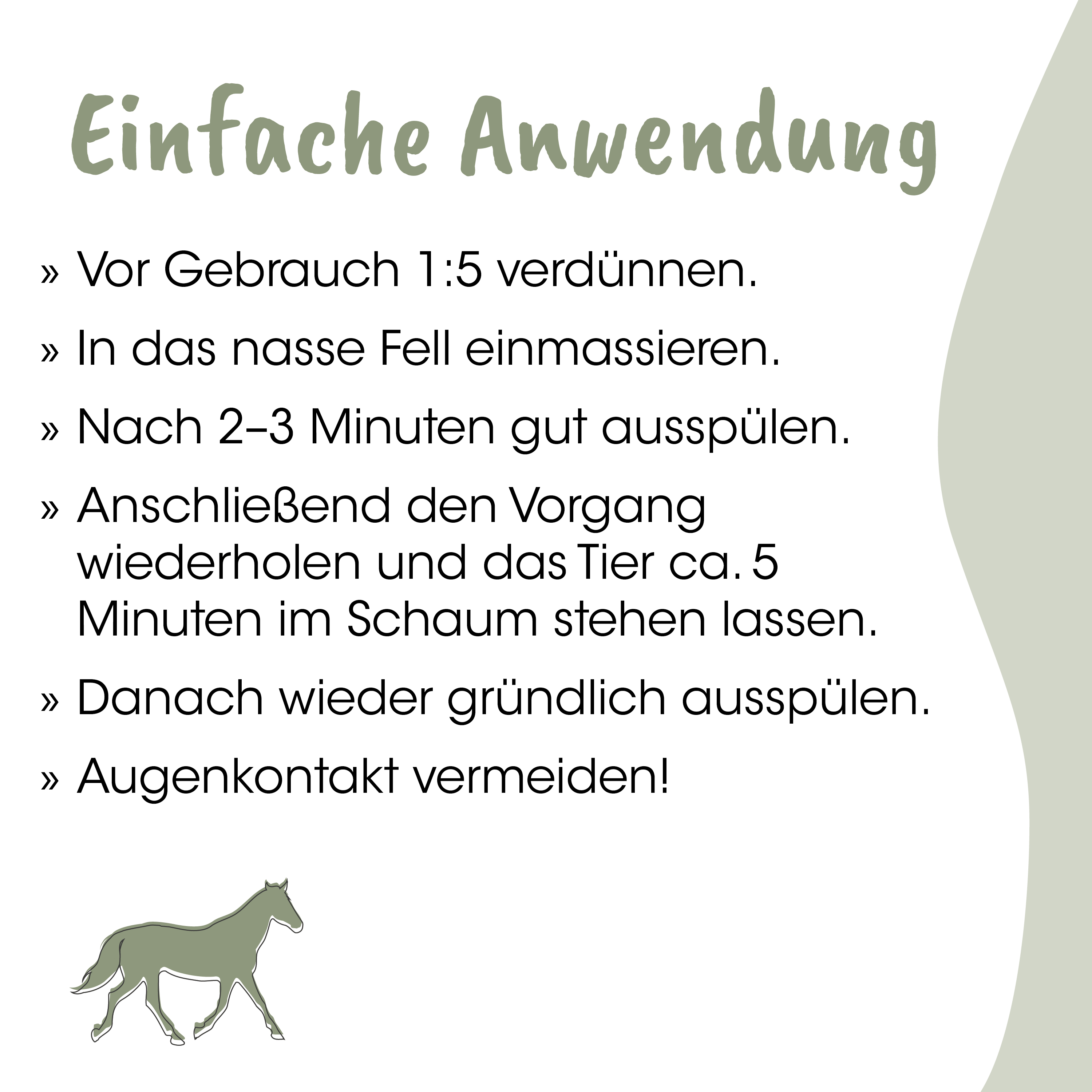 Anleitung, Pferd, Illustration, Hintergrundgrafik, Textlayout