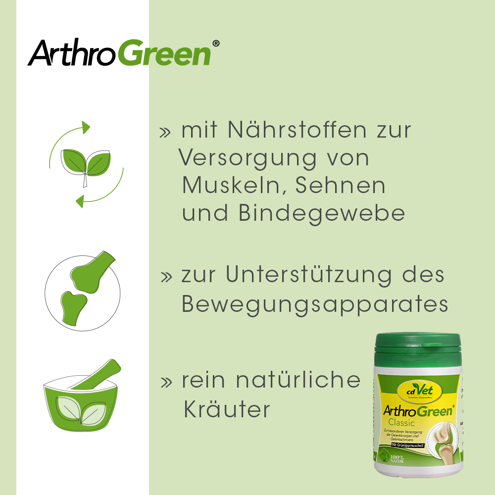 Arthrose Green, Kapseln, Bewegungsapparat, natürlich, Kräuter
