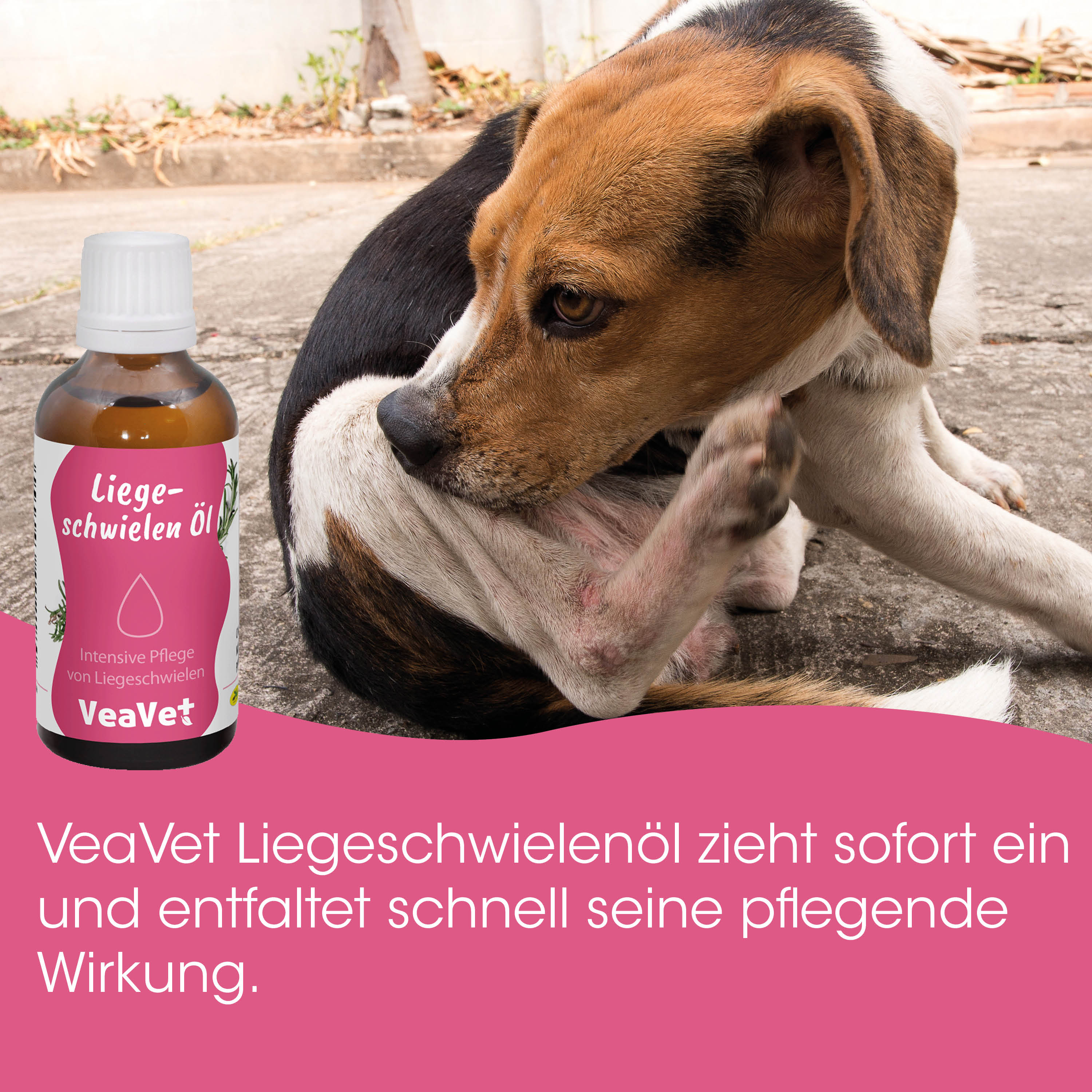 Hund, Pflegeöl, Tierpflege, Flasche, Pflegeprodukt