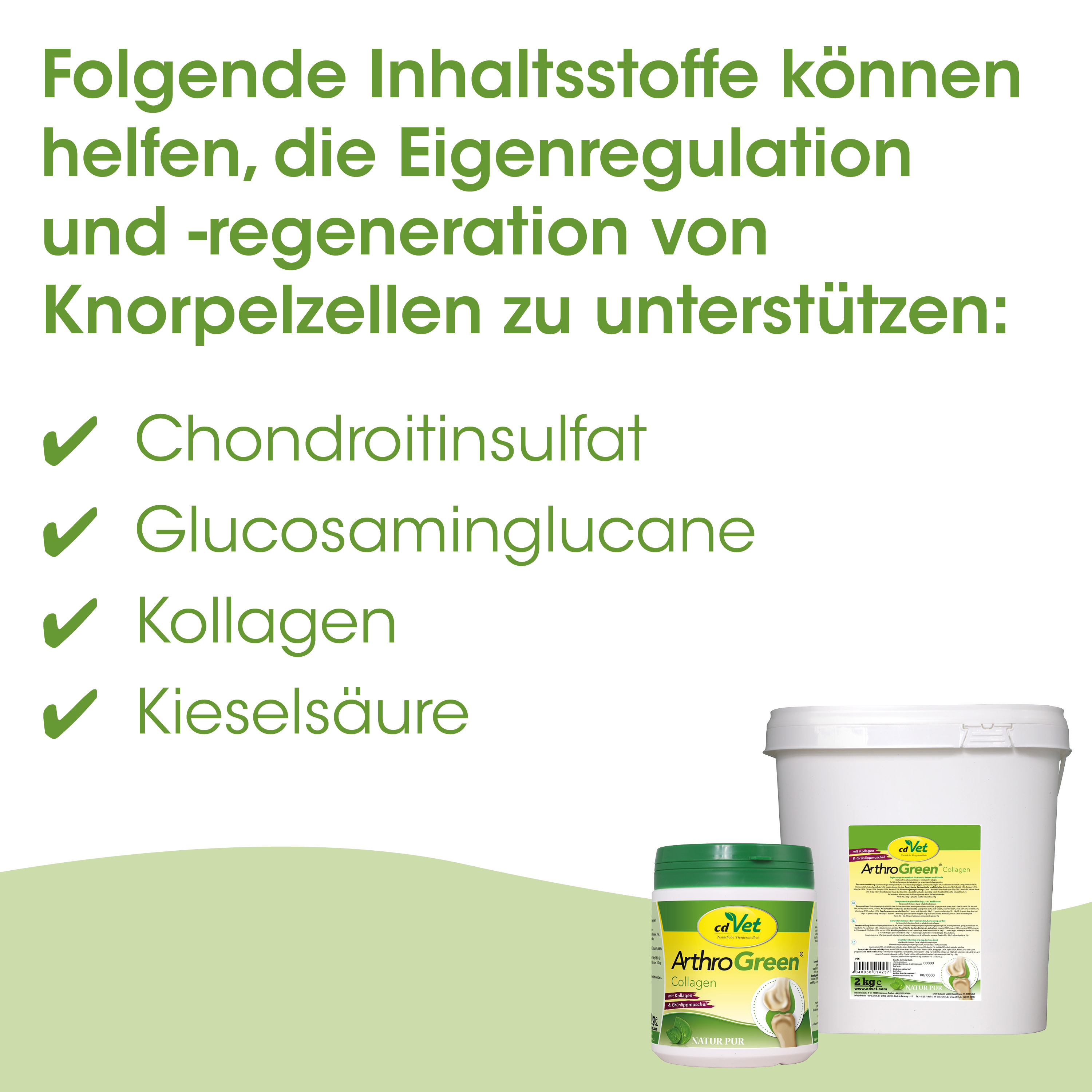 Chondroitinsulfat, Glucosaminglucane, Kollagen, Kieselsäure, ArthroGreen