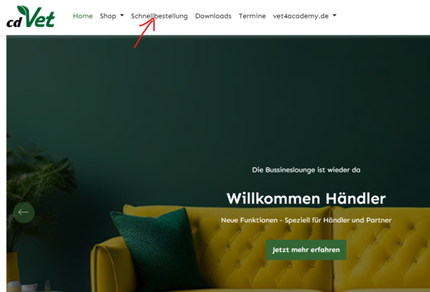 Person, Flasche, Couch, Wohnzimmer, Innenarchitektur, Werbung, Kissen