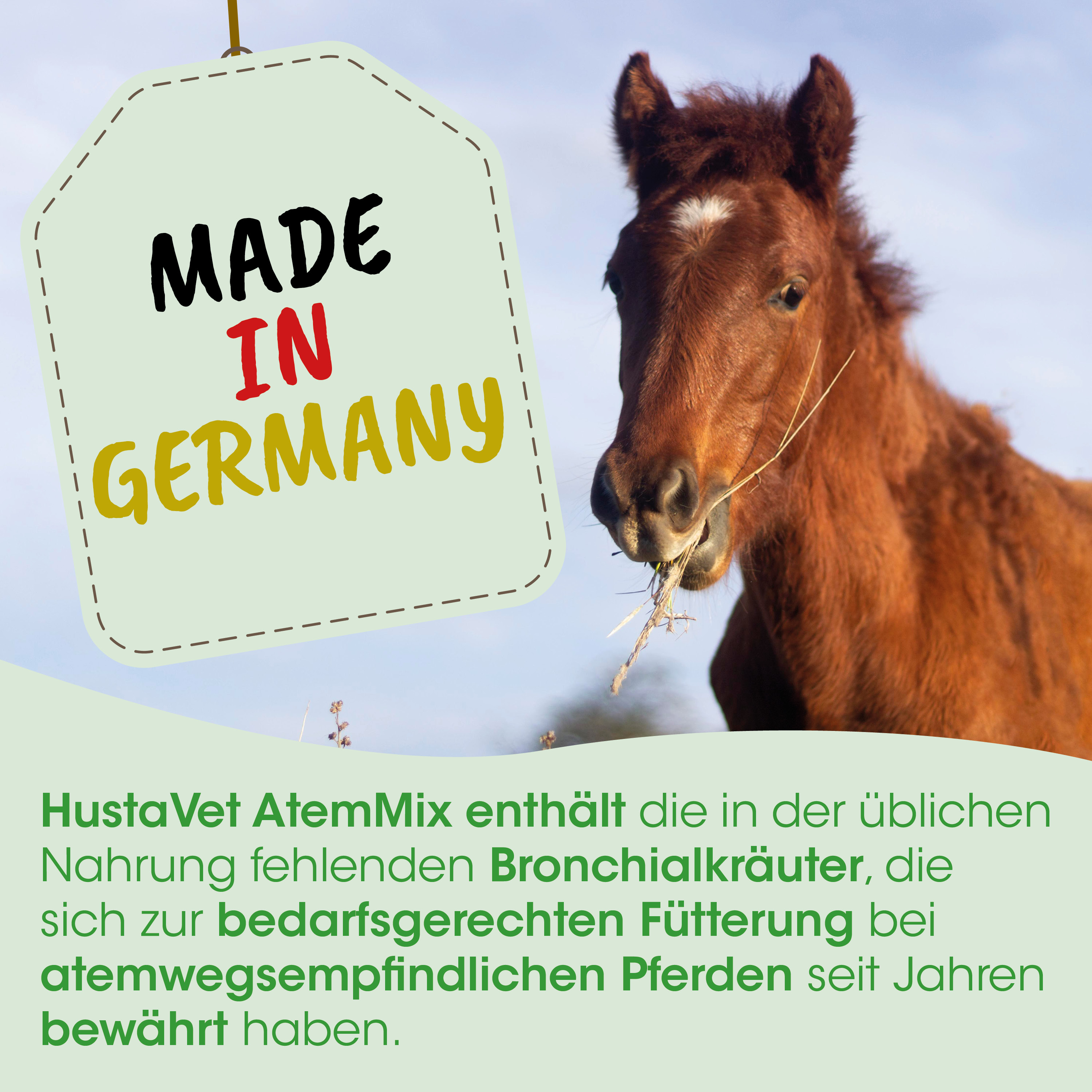 Pferd, braun, Mähne, Heu, Tag].} The above seems wrong format and content. Let's provide proper 5 tags: horse, brown, hay, tag? Let's craft: Tags should be 1-3 words each. Up to 5. For image: horse head, brown horse, hay in mouth, tag 